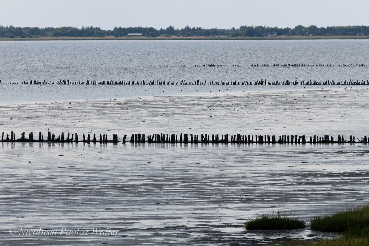 Parallelismo (Isola di Romo)