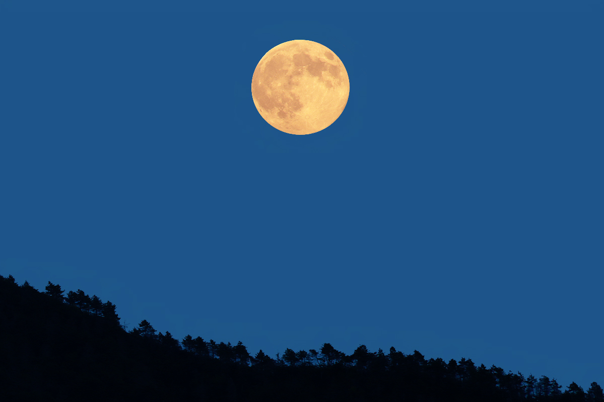 Dimmi, che fai, Silenziosa luna?