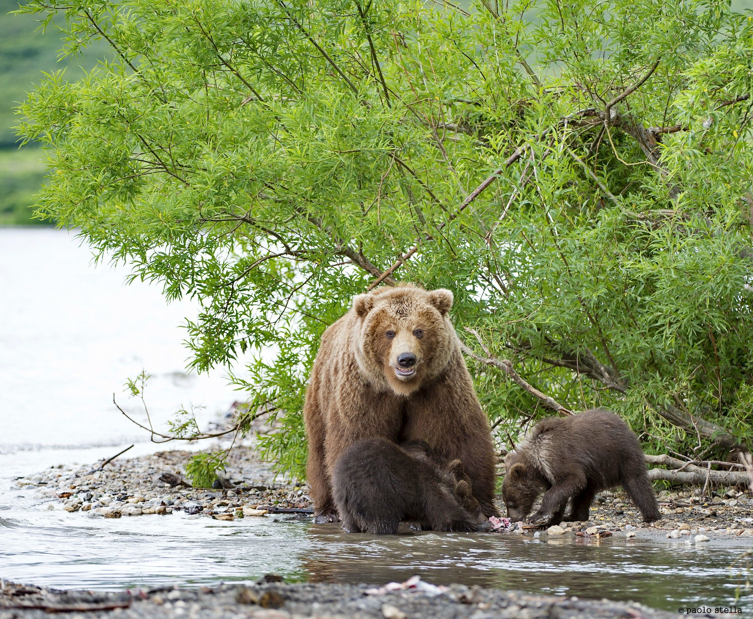 il sorriso della mamma....