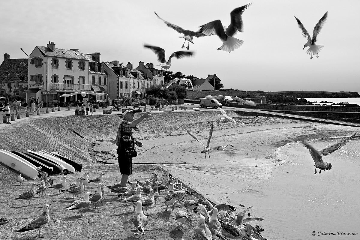 L'uomo che sussurrava ai gabbiani