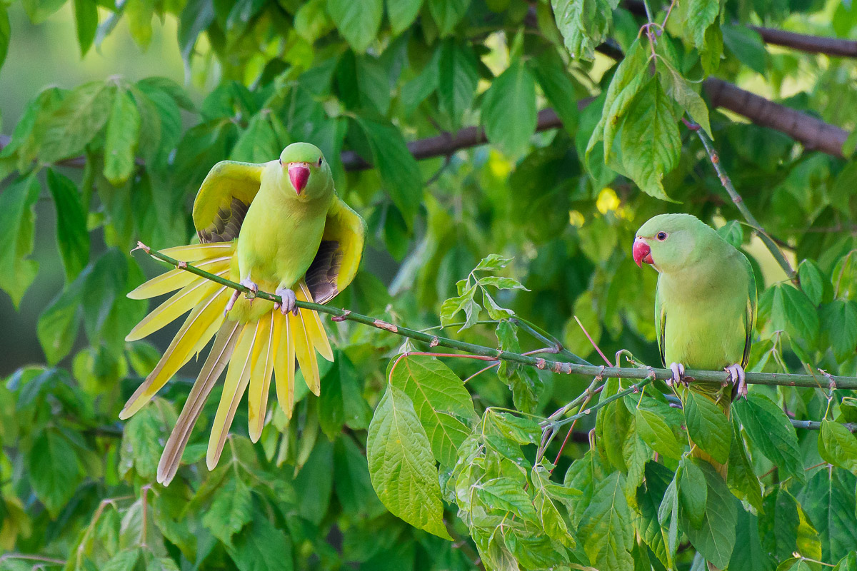 Adesso non fare il ridicolo!!!