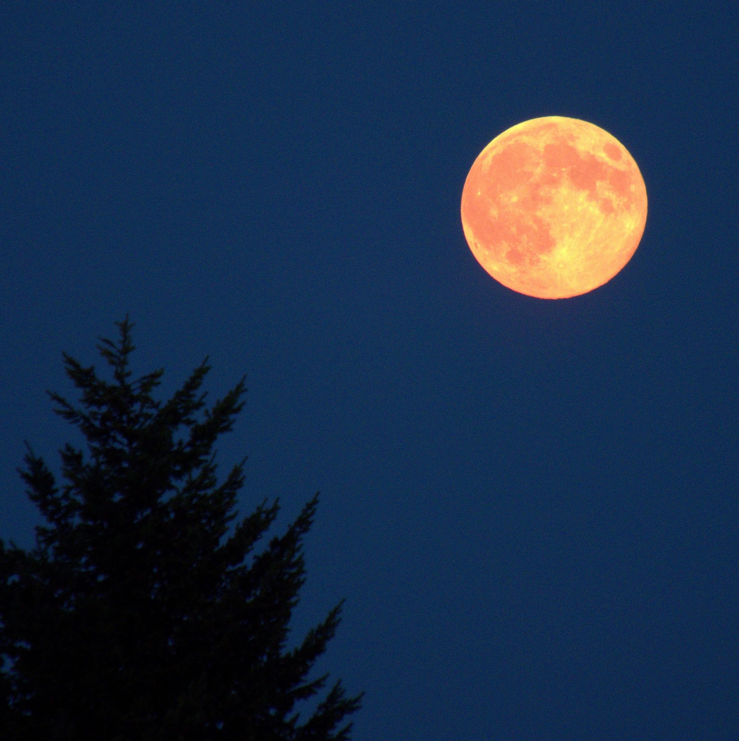 Super fullmoon, Aug 10th 2014