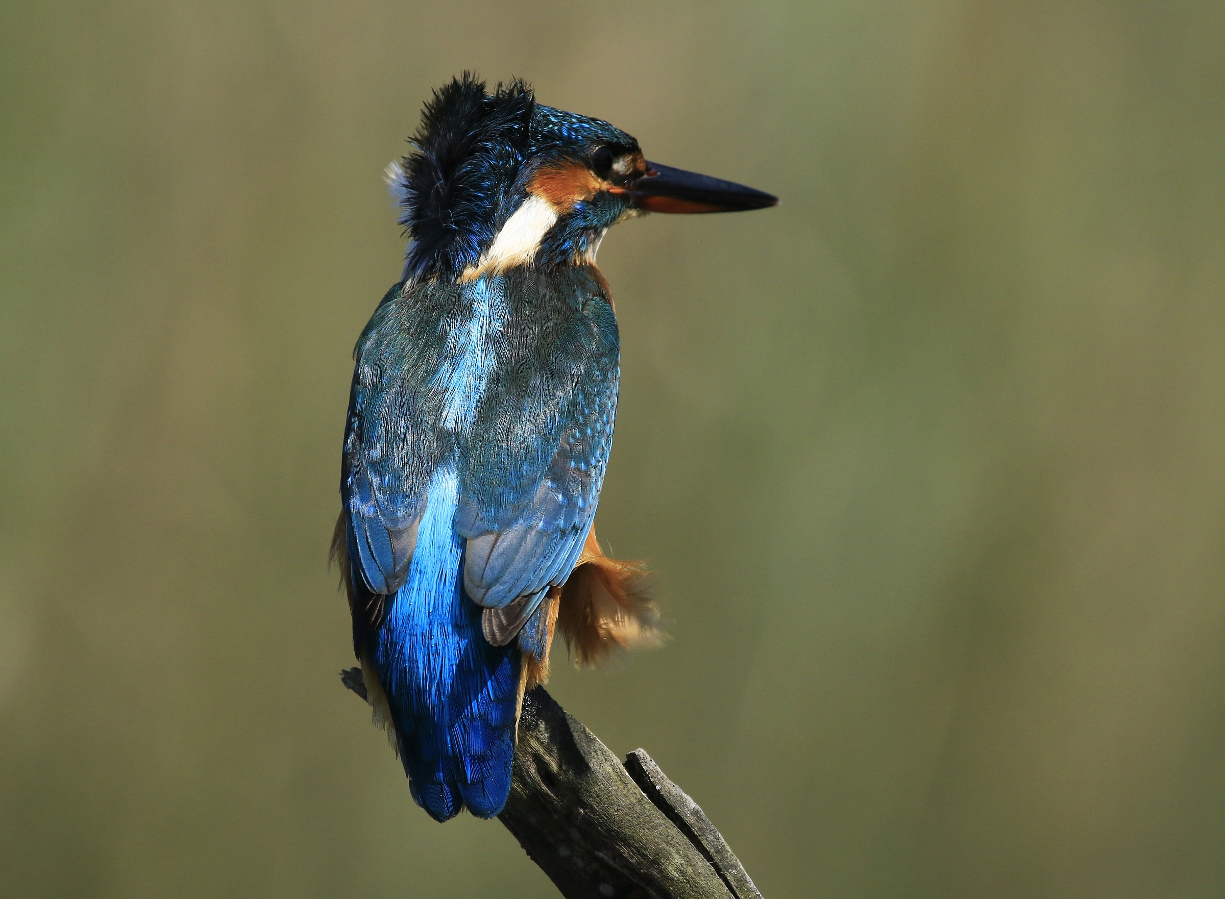 Martina 2014: Holding out the back to the wind