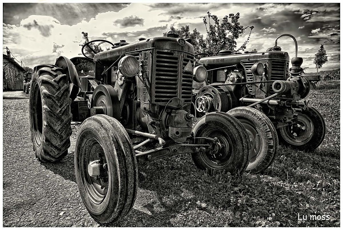 The Landini Brothers