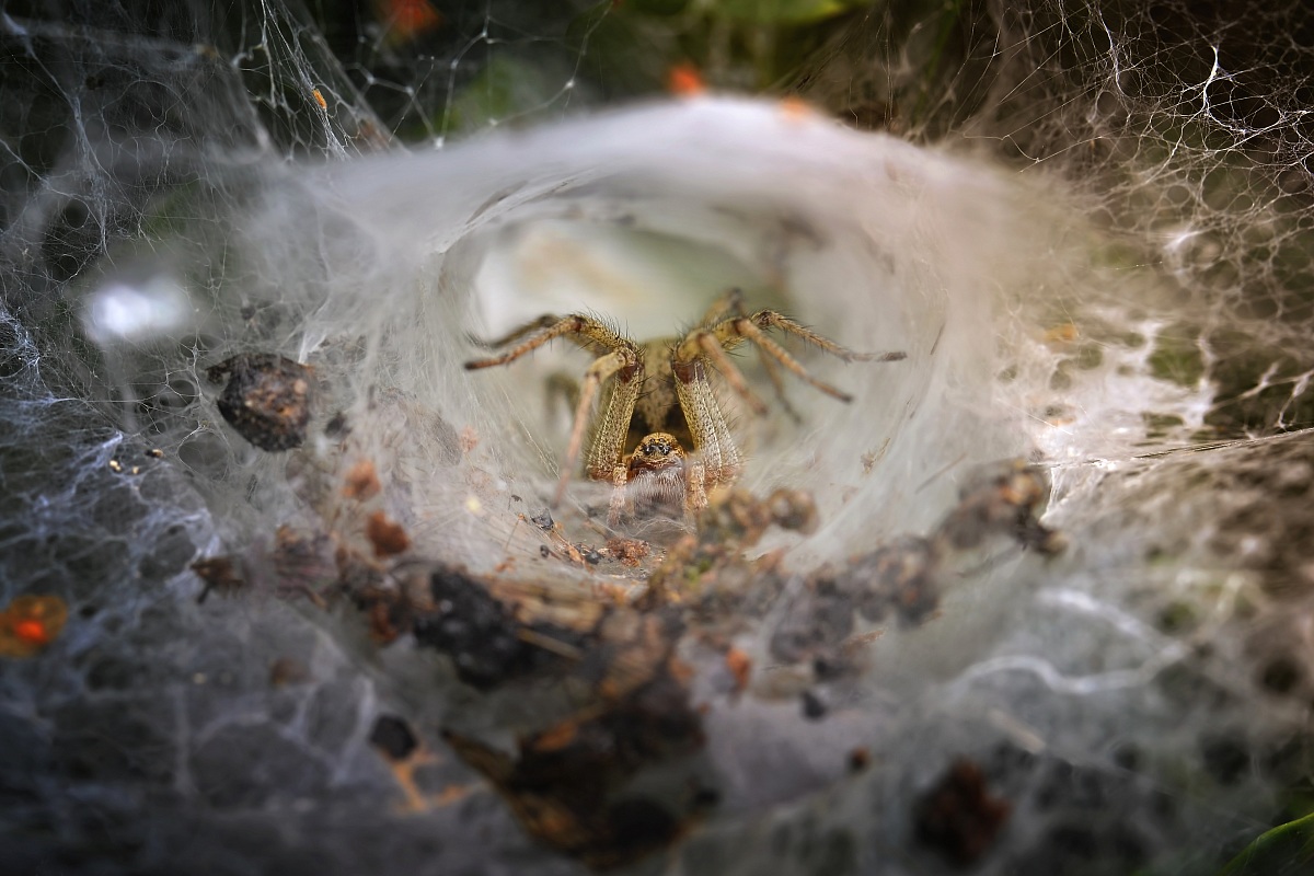 Do not go in that house!