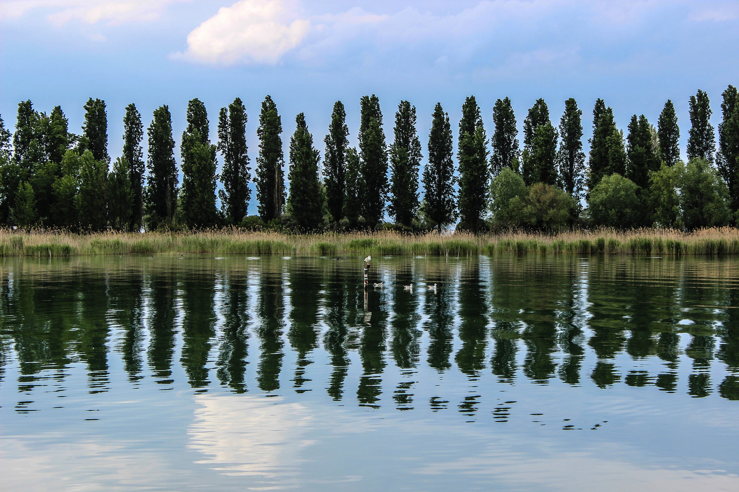 ...andando  verso l'isola Polvese   Lago Trasimeno
