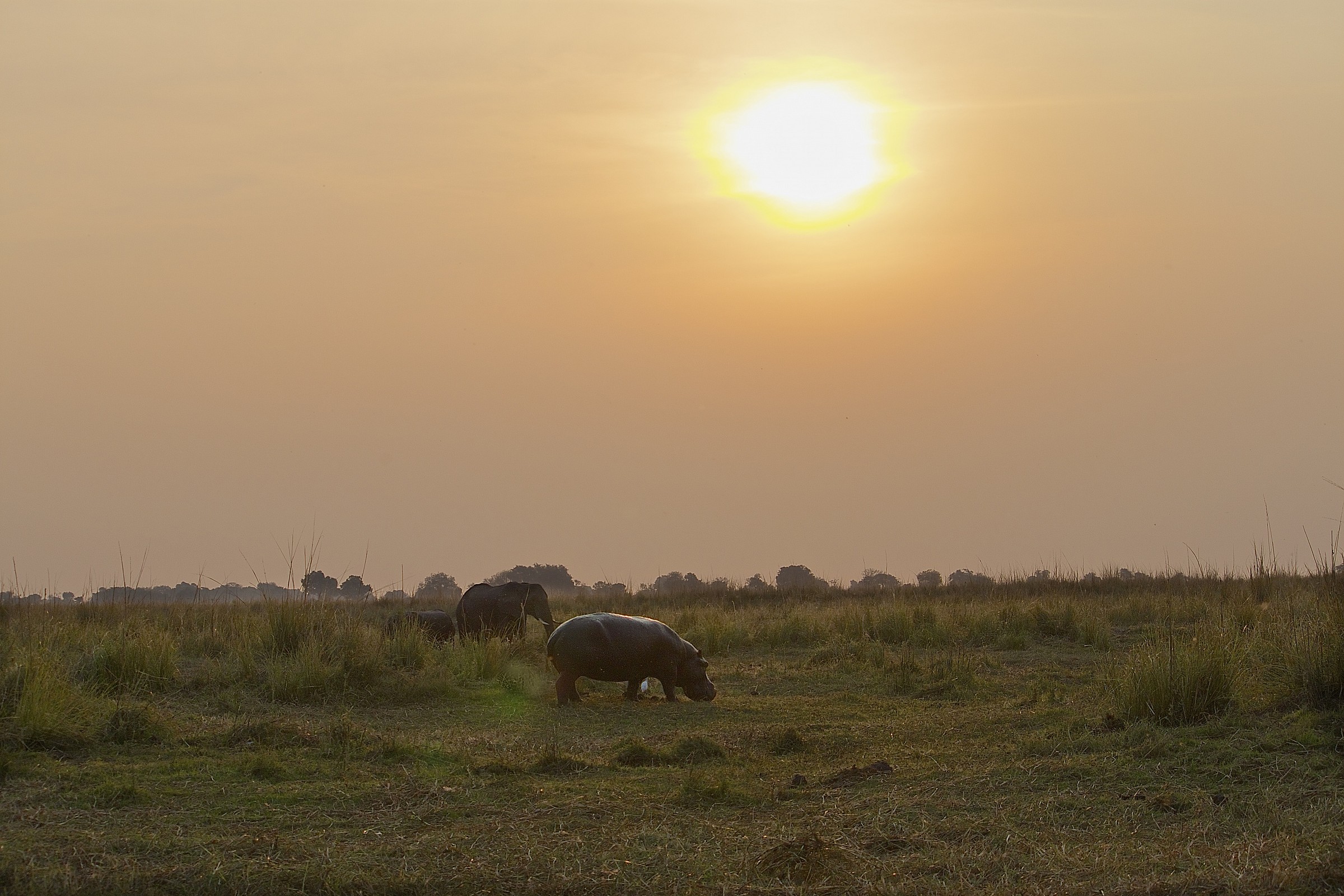 Tramonto sul Chobe
