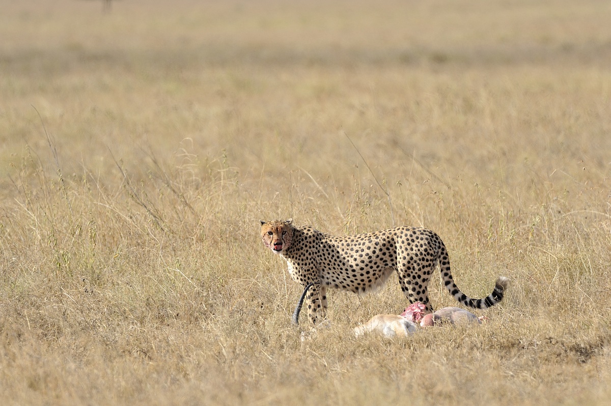 buona...da leccarsi i baffi
