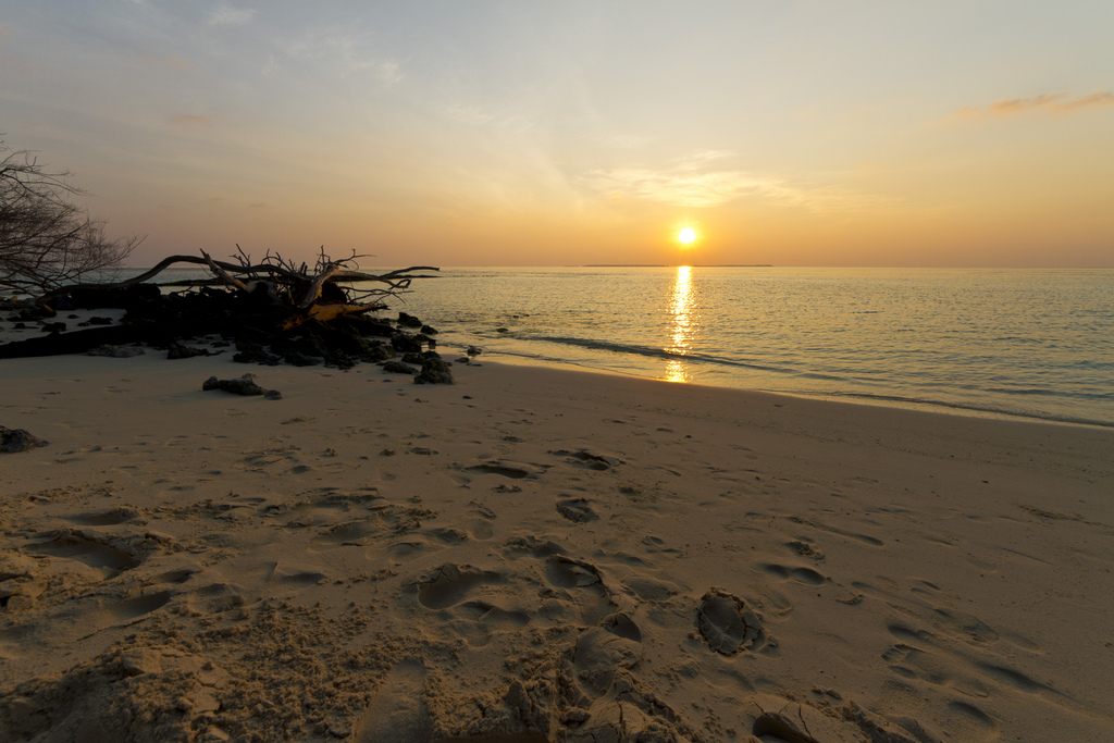 Asdu Sun Island Dawn