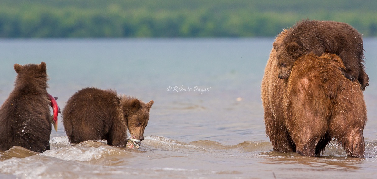 Chi pesca e chi osserva