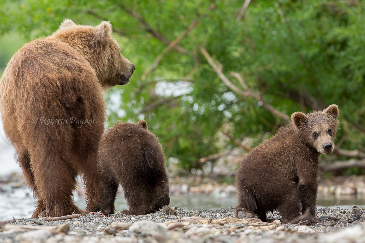 Vi saluto...alla prossima!