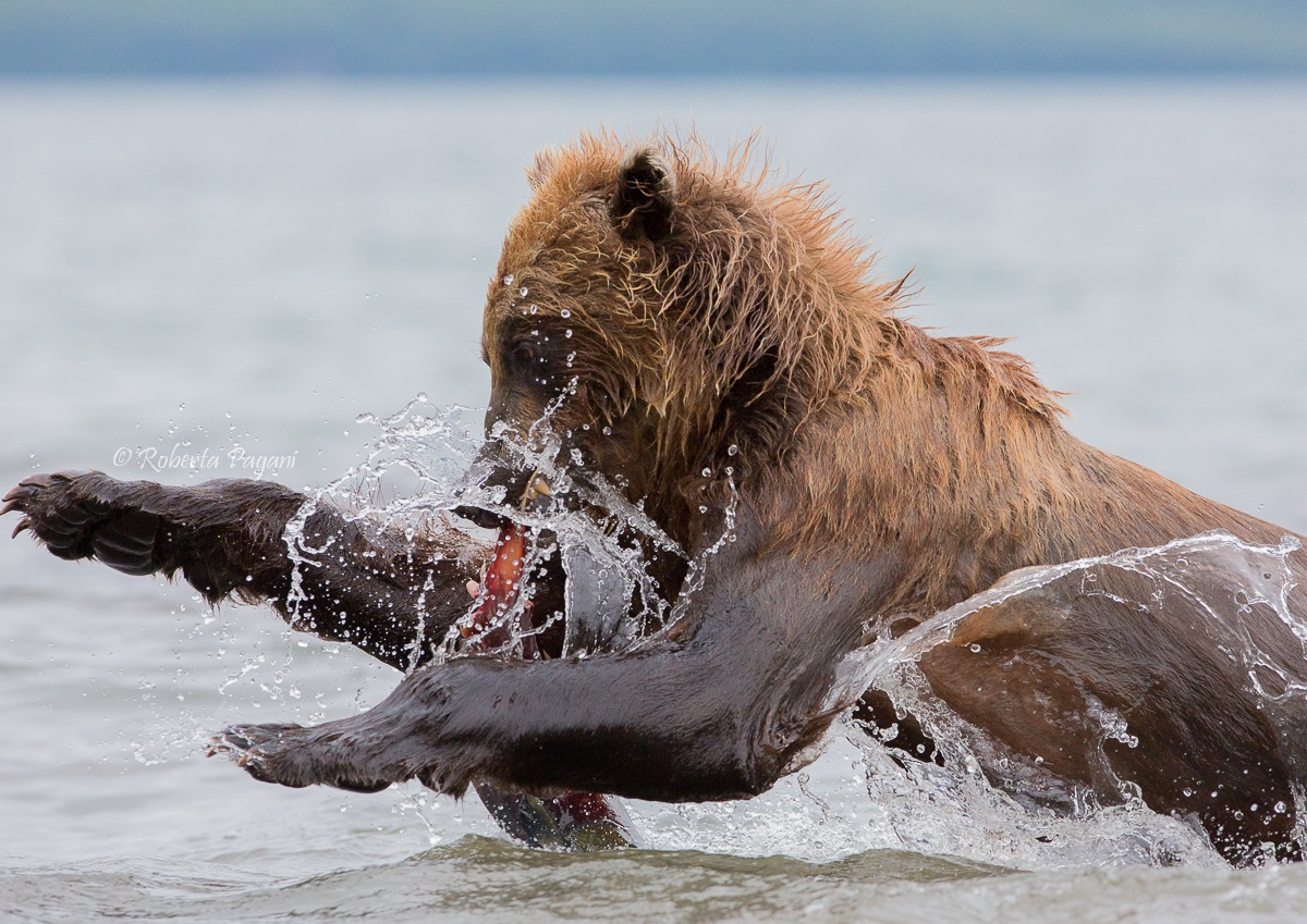 Quando uno non basta