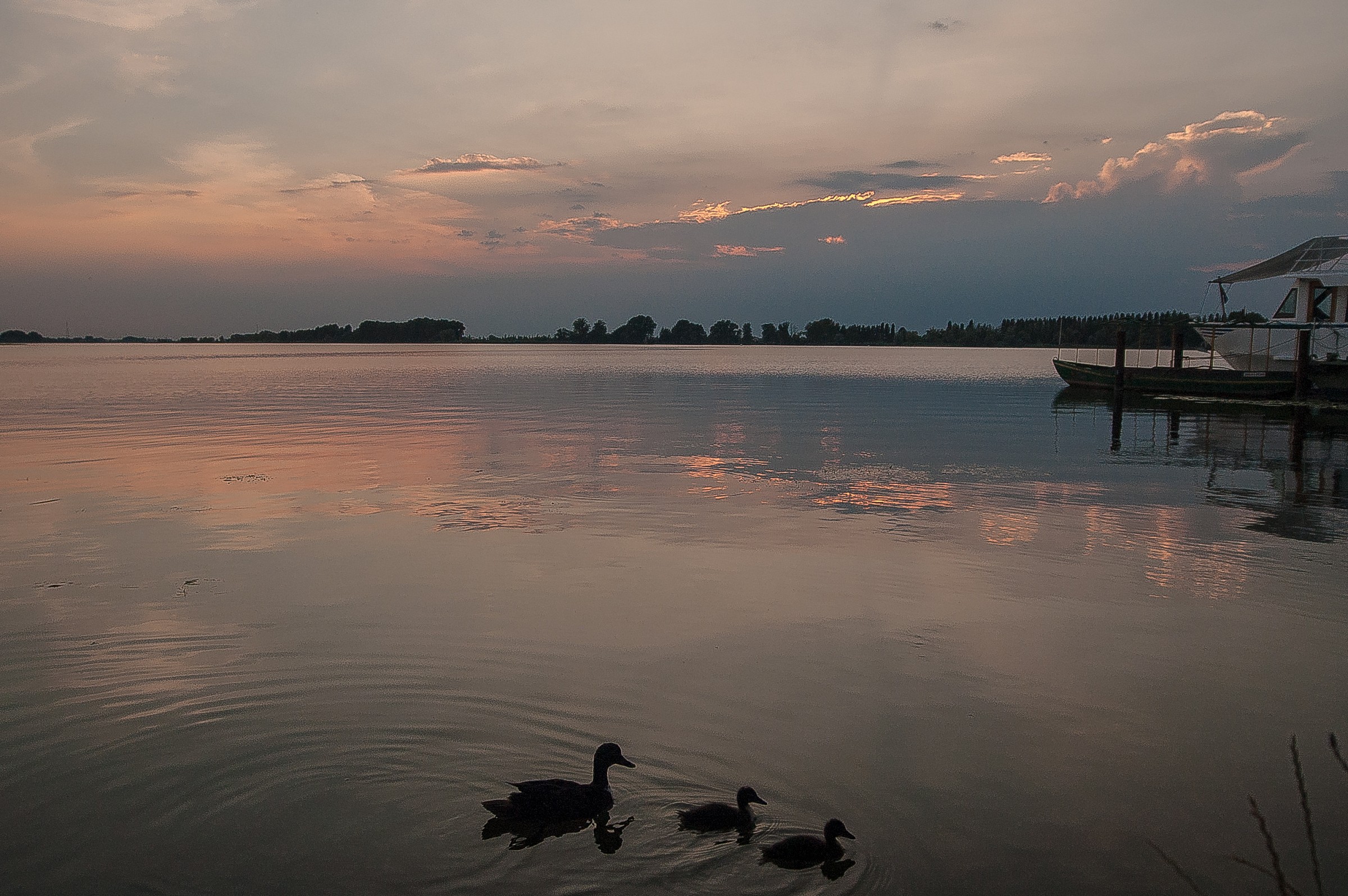 With you and with me