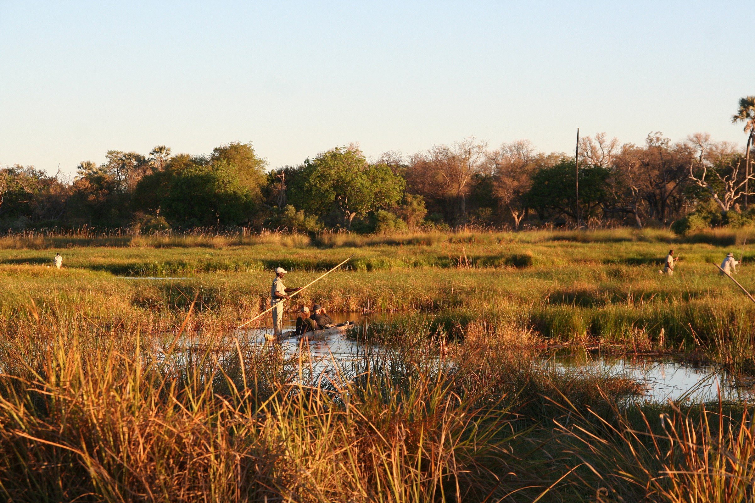 delta dell'okawango