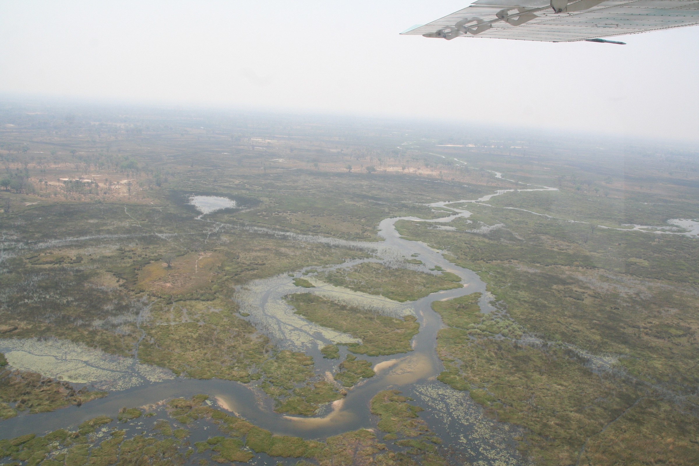 dell'okawango delta plane