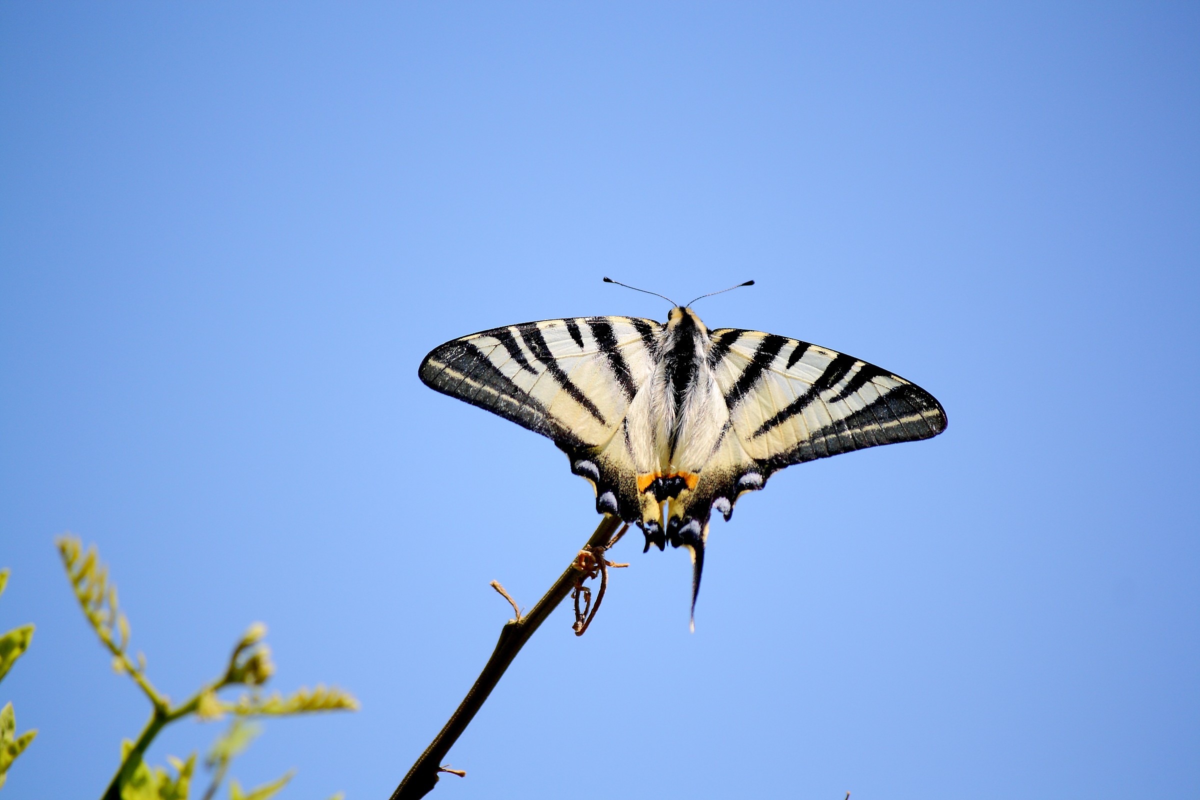 vanità in bianco e nero