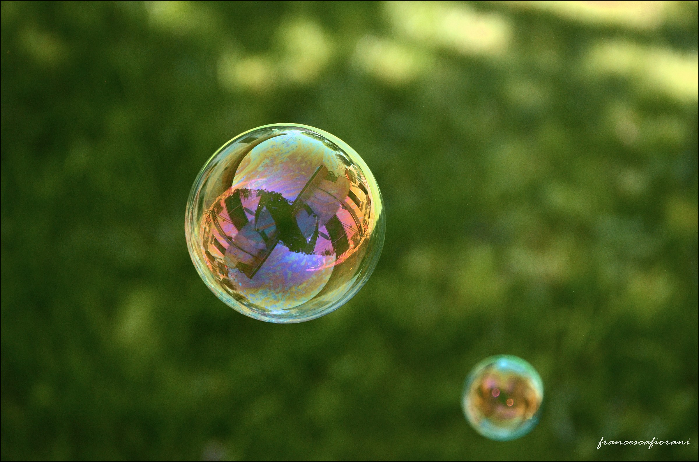 bubble blower