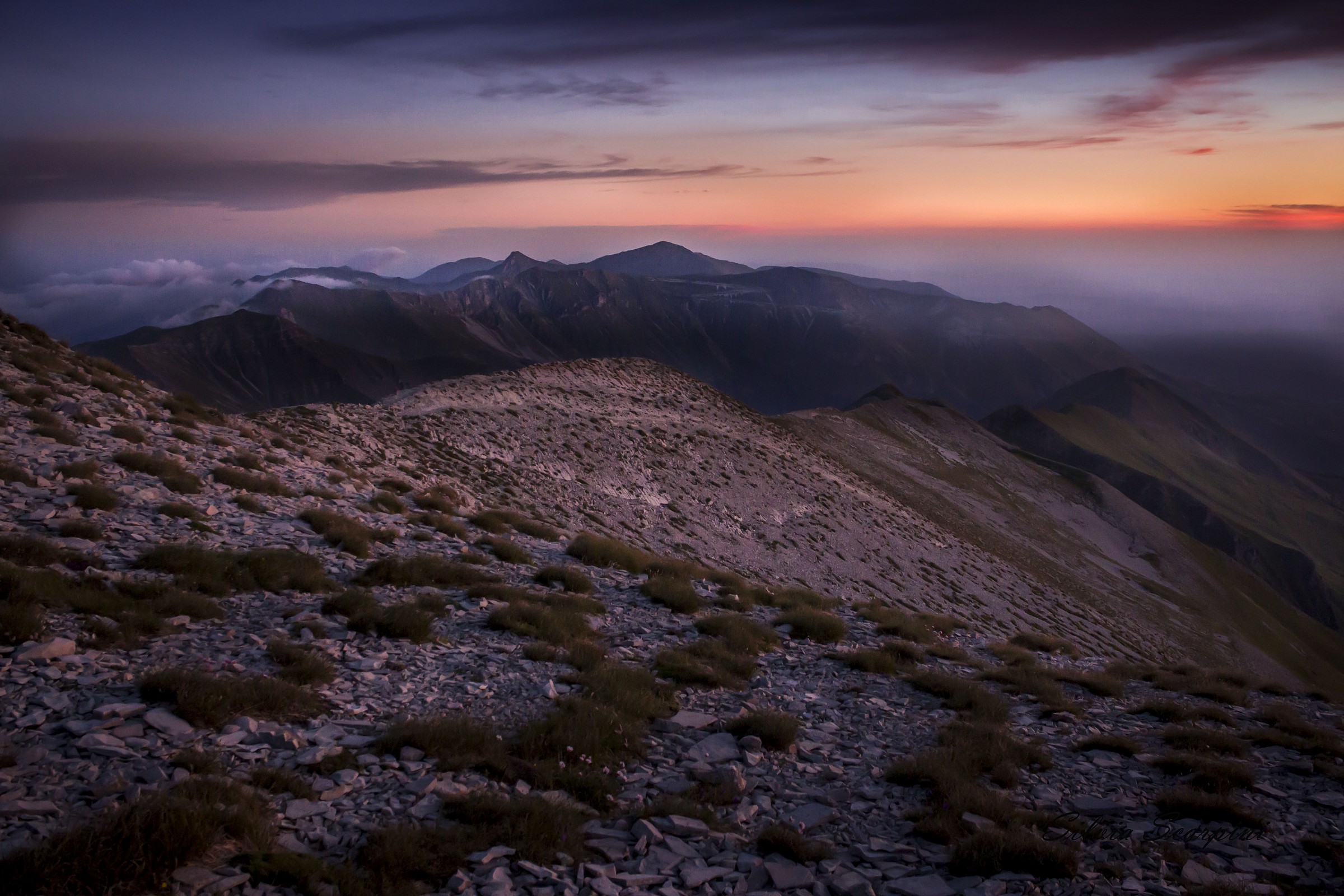 first rays of dawn by Carrier