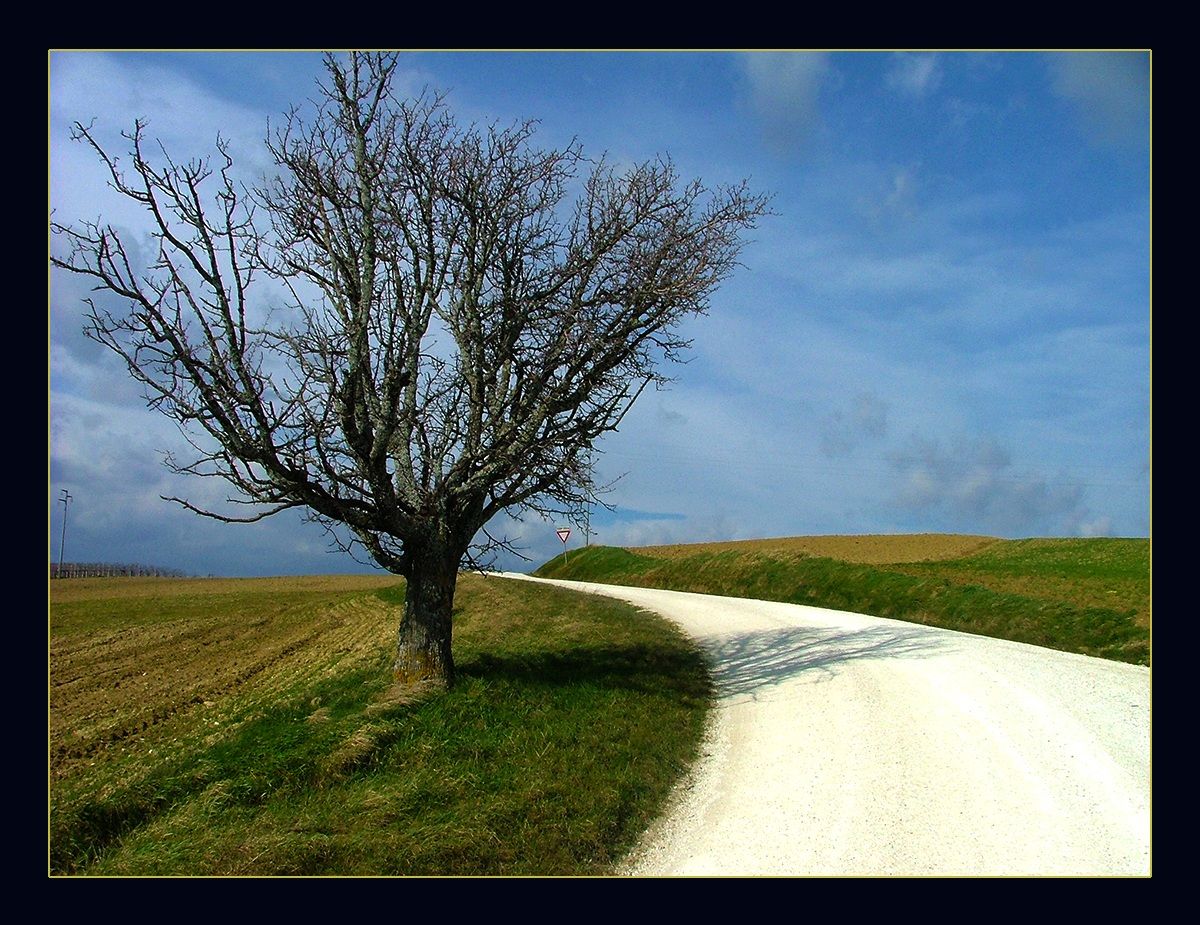 Arcevia. Campagna marchigiana.