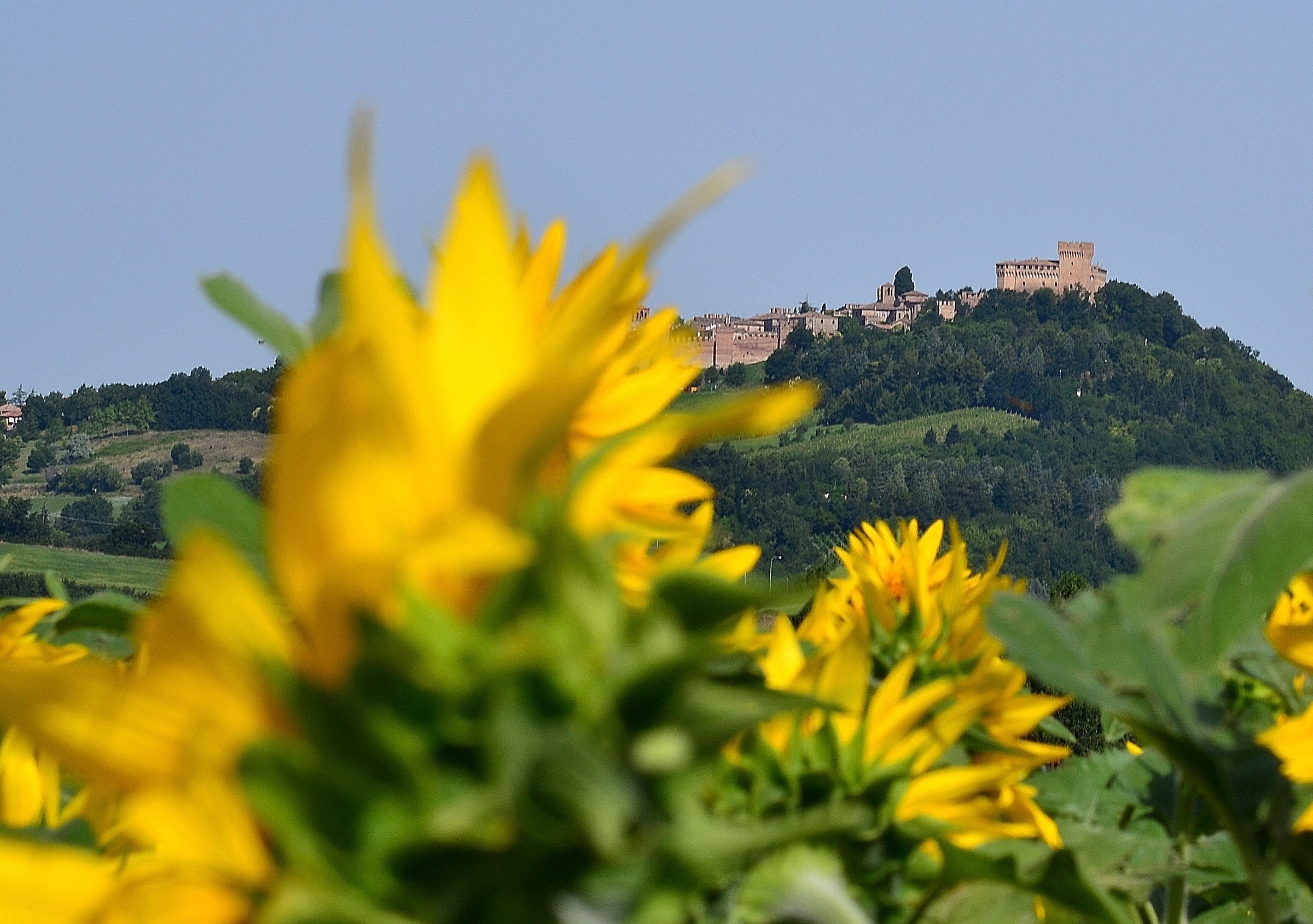 Castello in lontananza