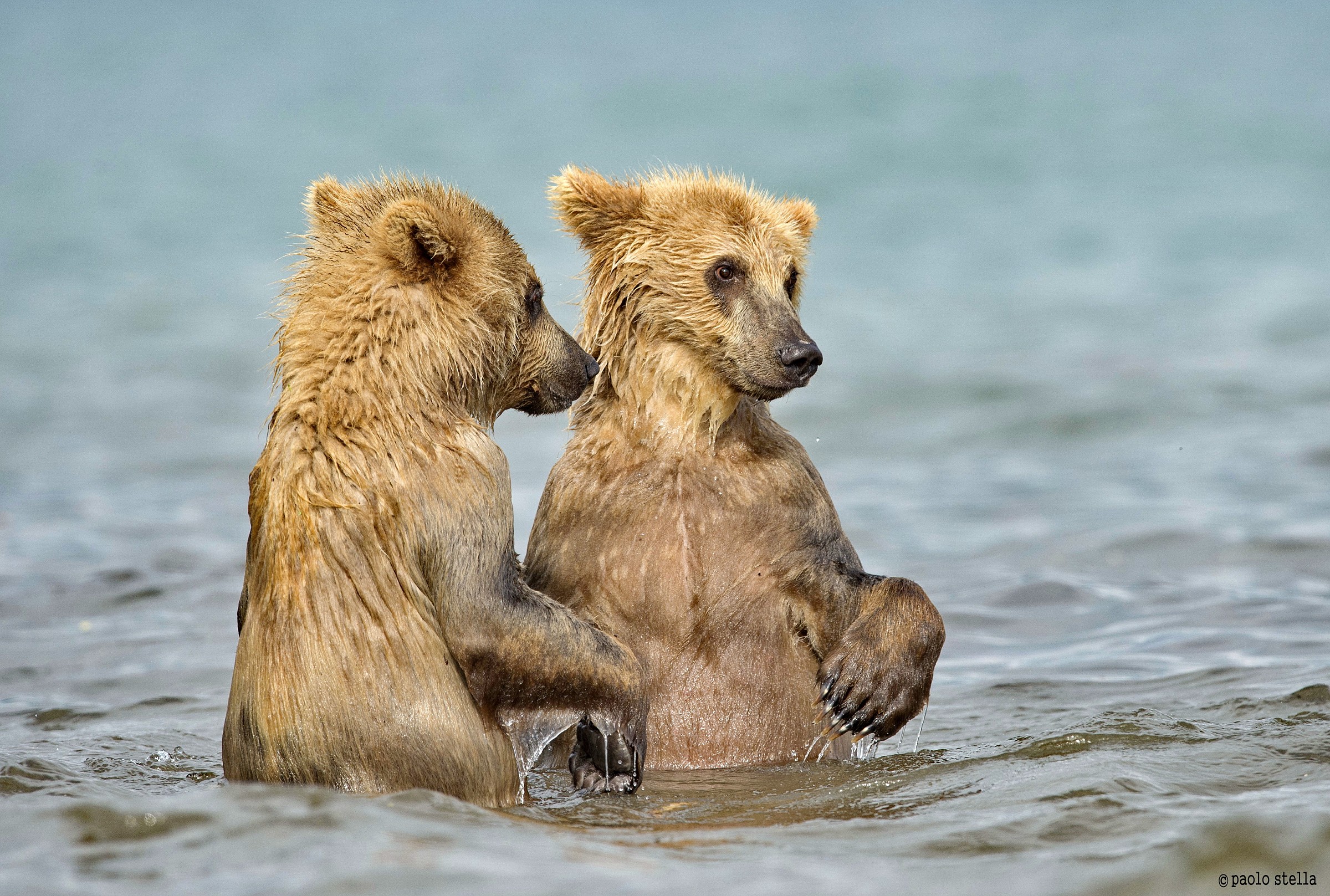lezioni di pesca.....