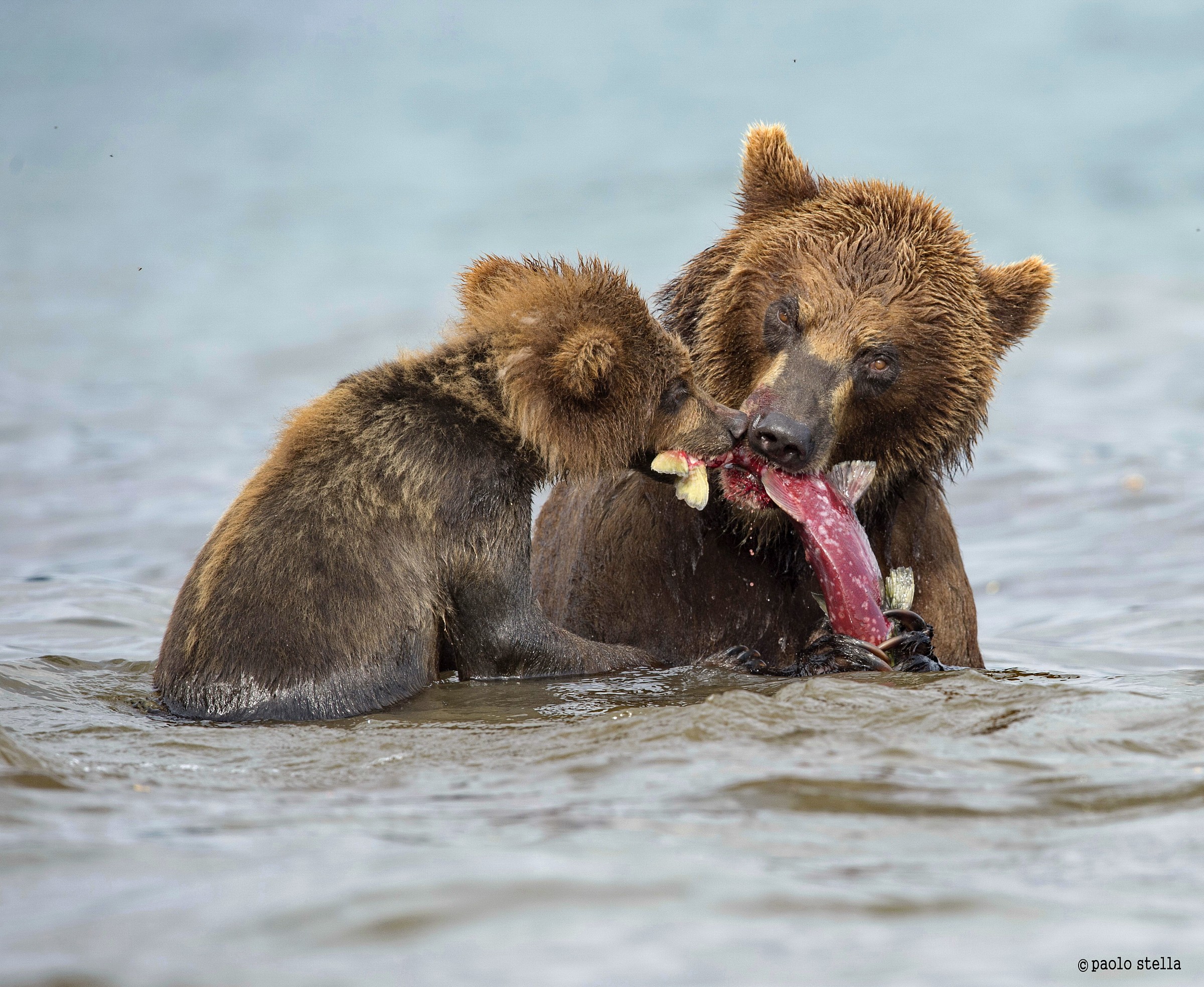 eggs that deliciousness!