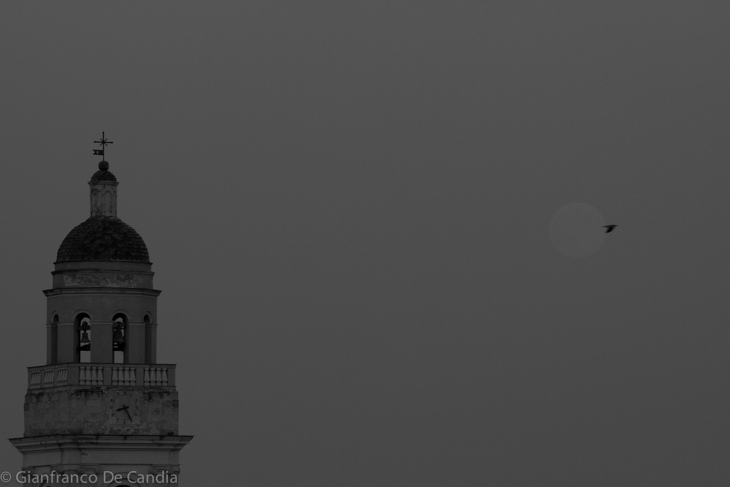 10 agosto 2014 h. 20:25