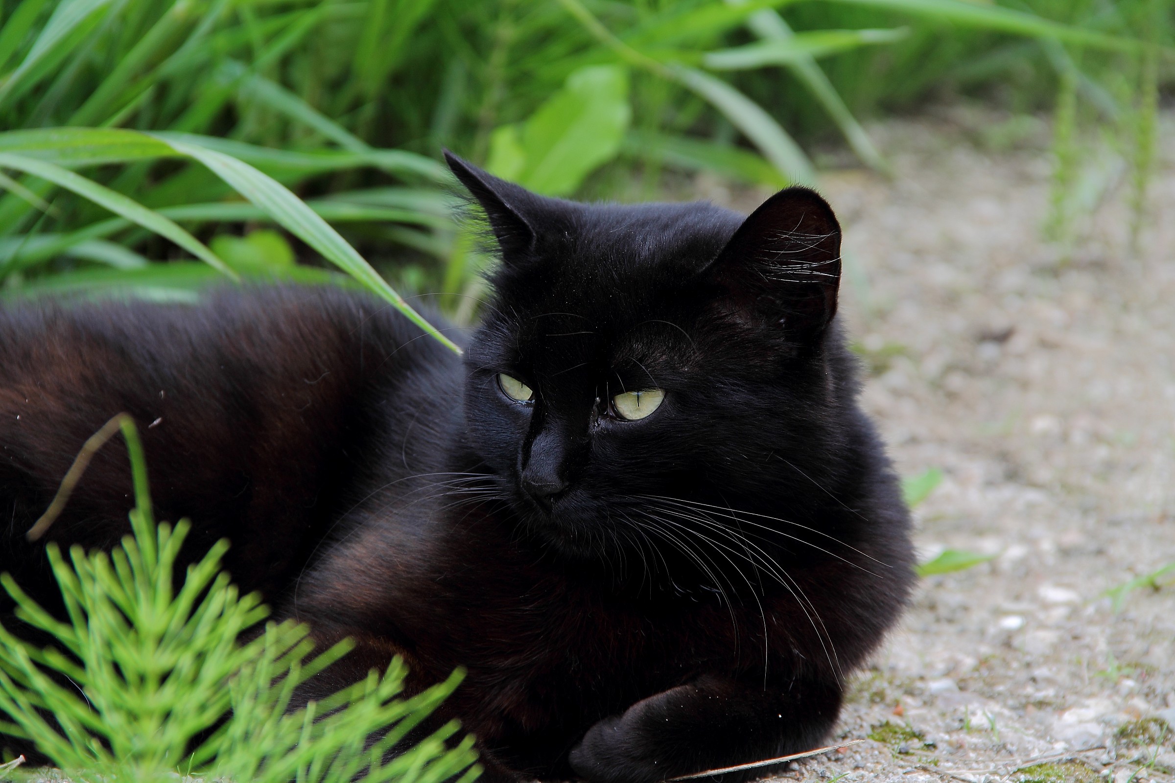 Sguardo Nel Vuoto....