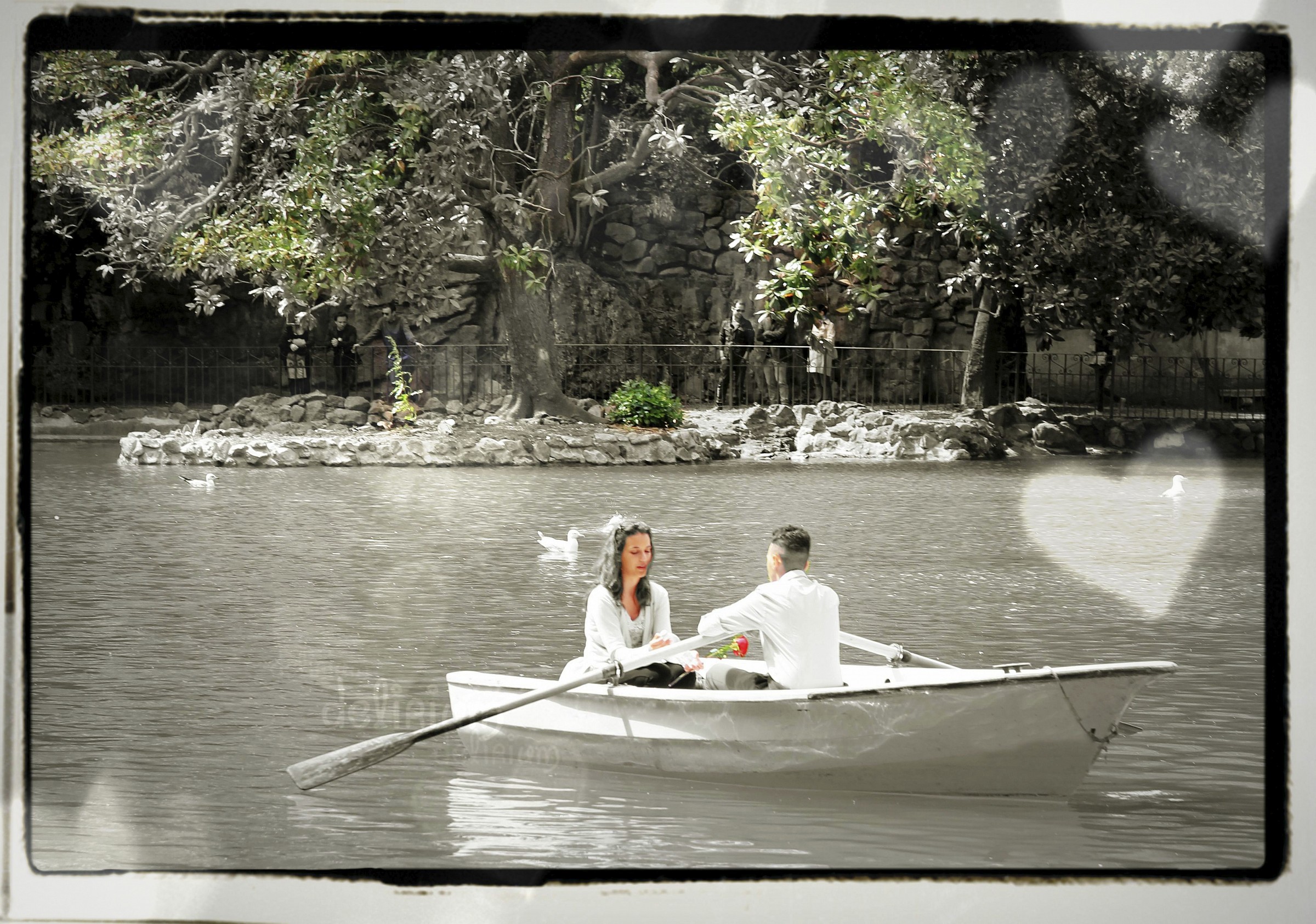 Young lovers (pond-Rome Villa Borghese