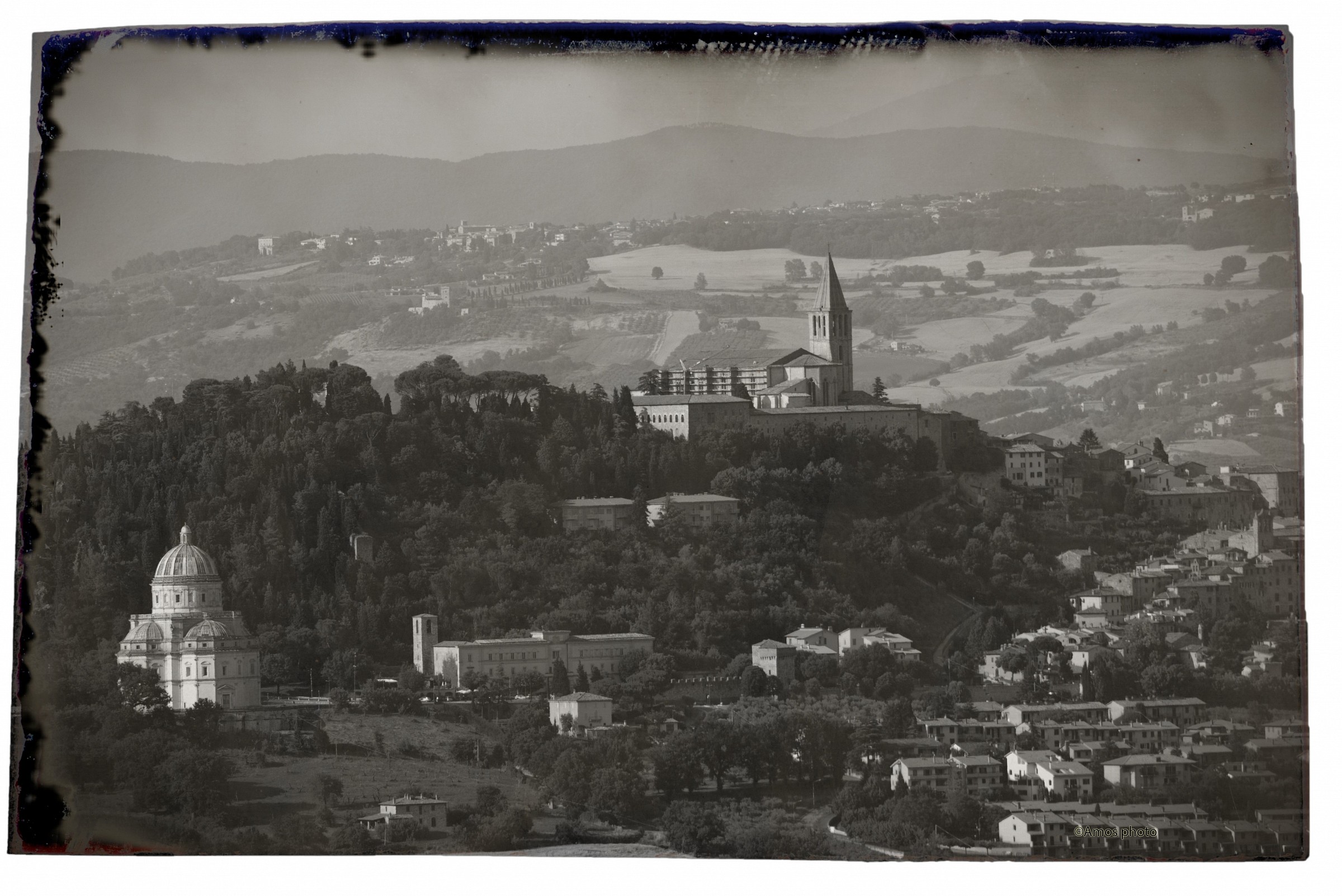 Todi