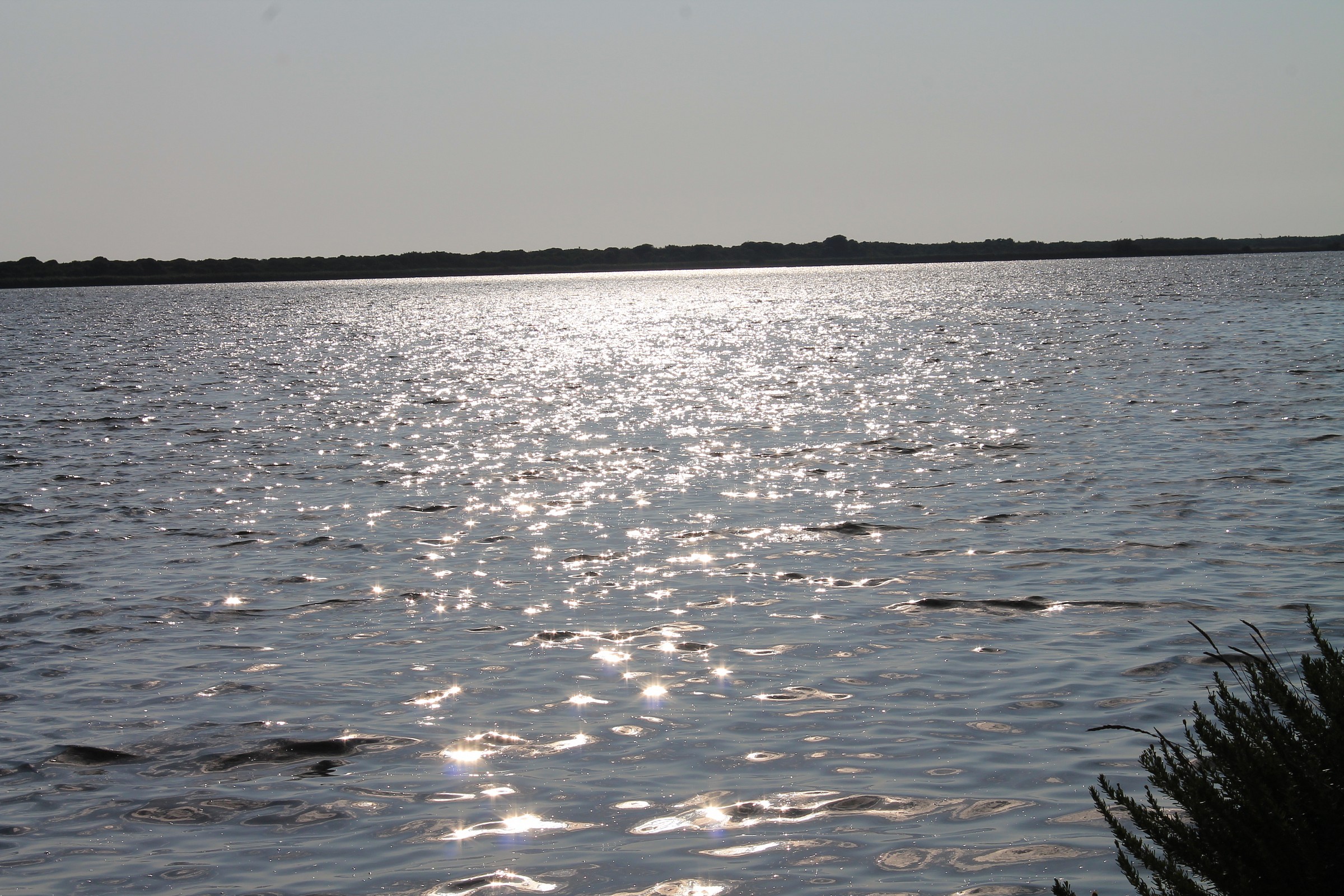 glimpse of Lake fogliano