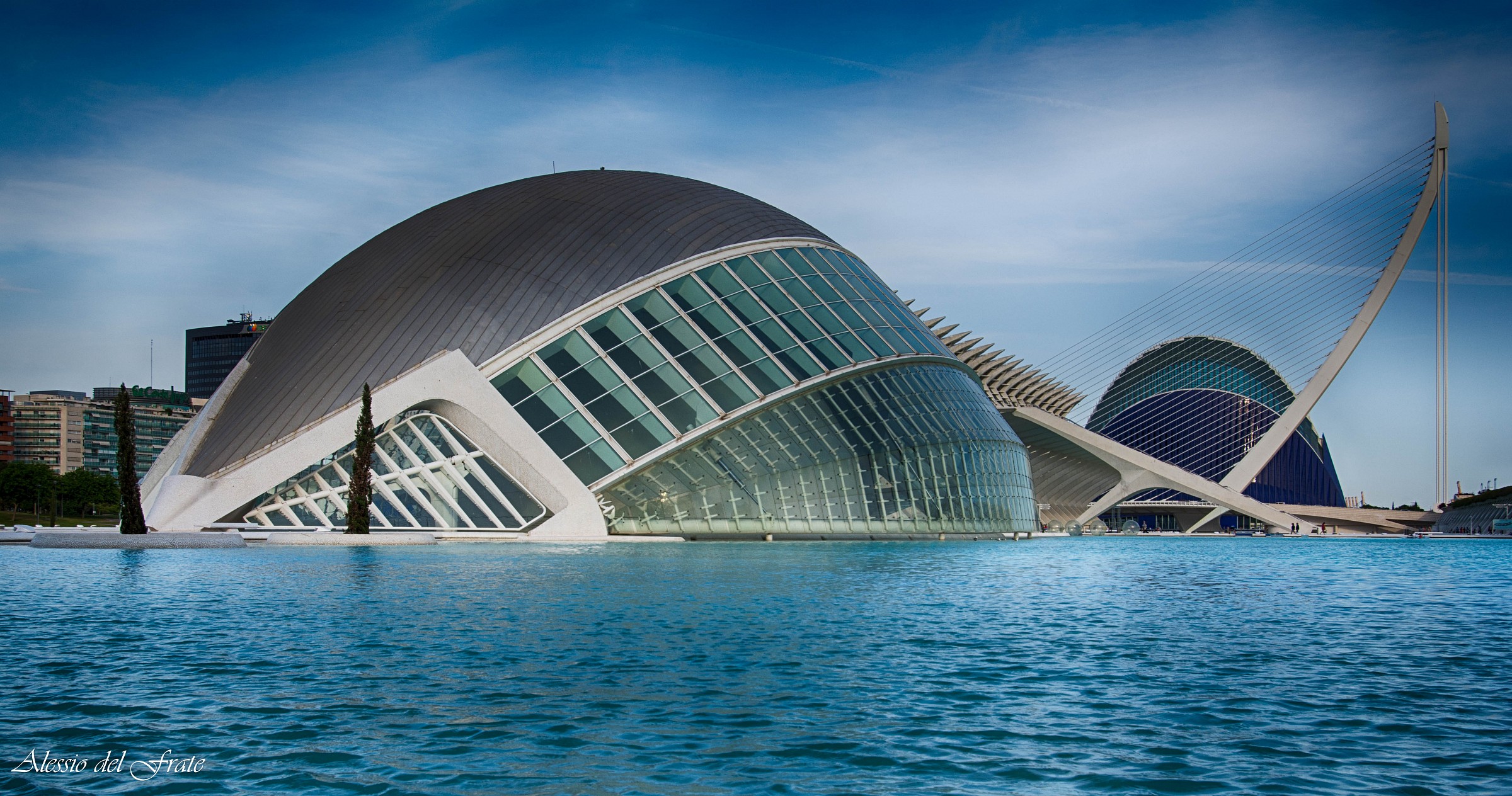 Lo Squalo Valensiano