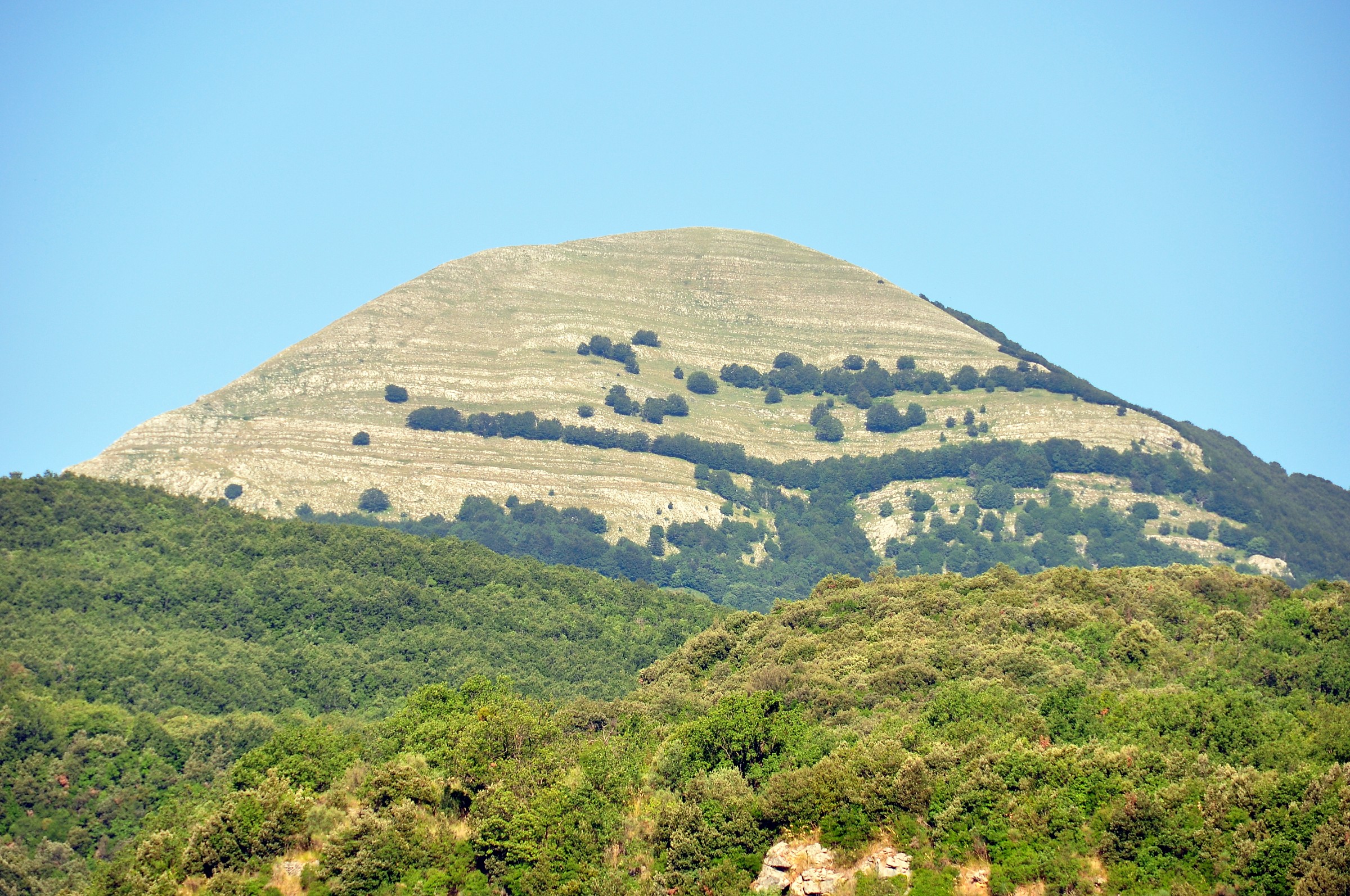 part of the park of Pollino