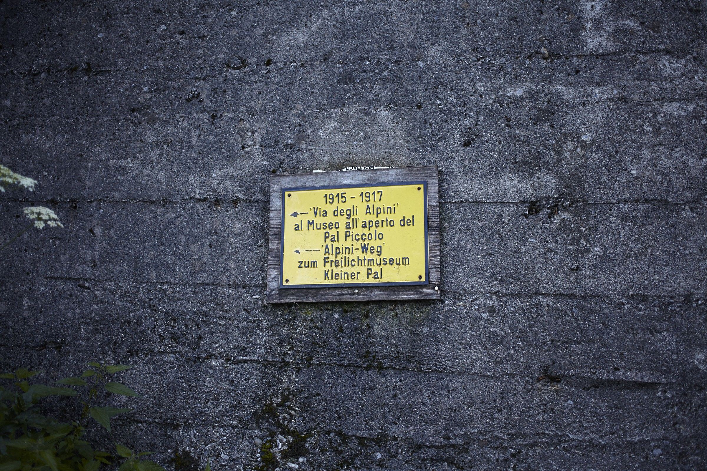 Pal Piccolo - Via degli Alpini