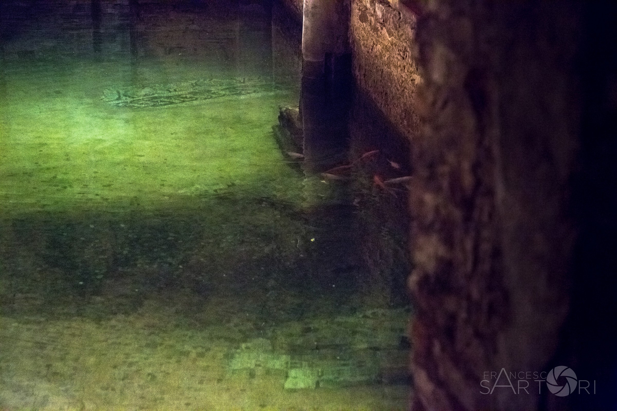 Cripte allagate della basilica di San Francesco