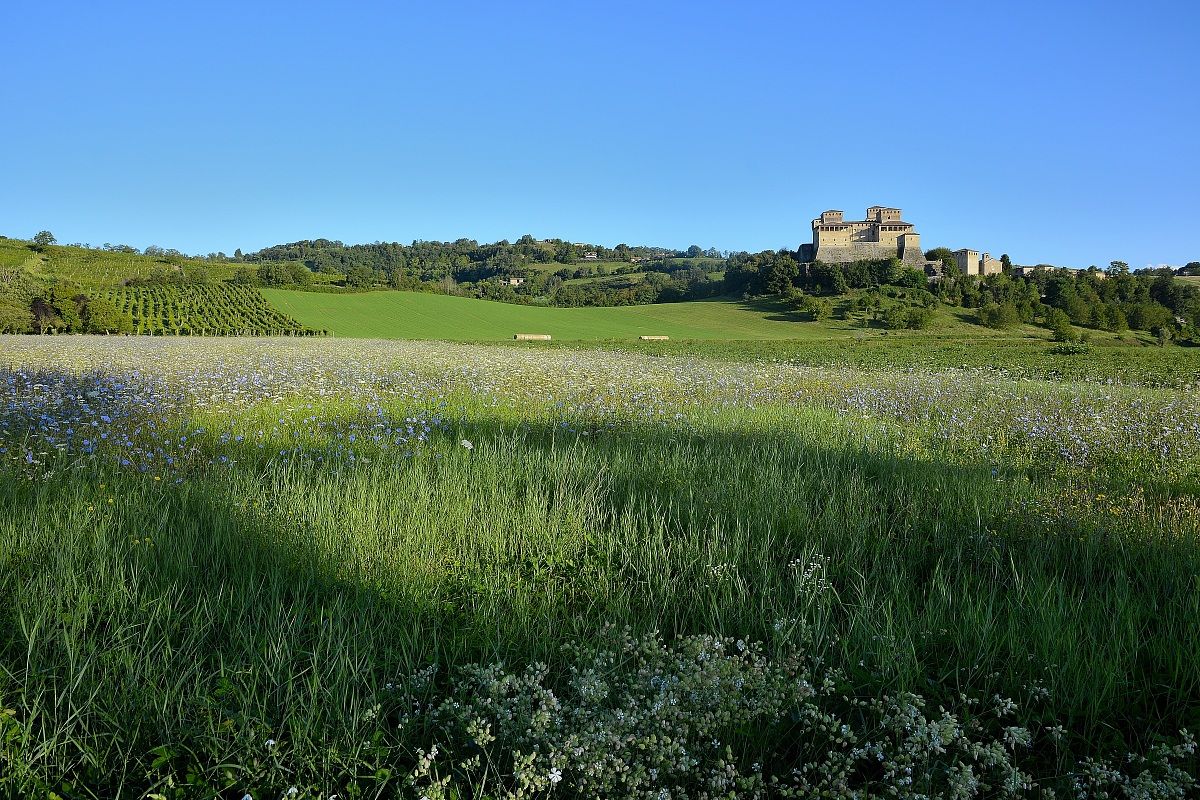 under the castle of Torrechiara
