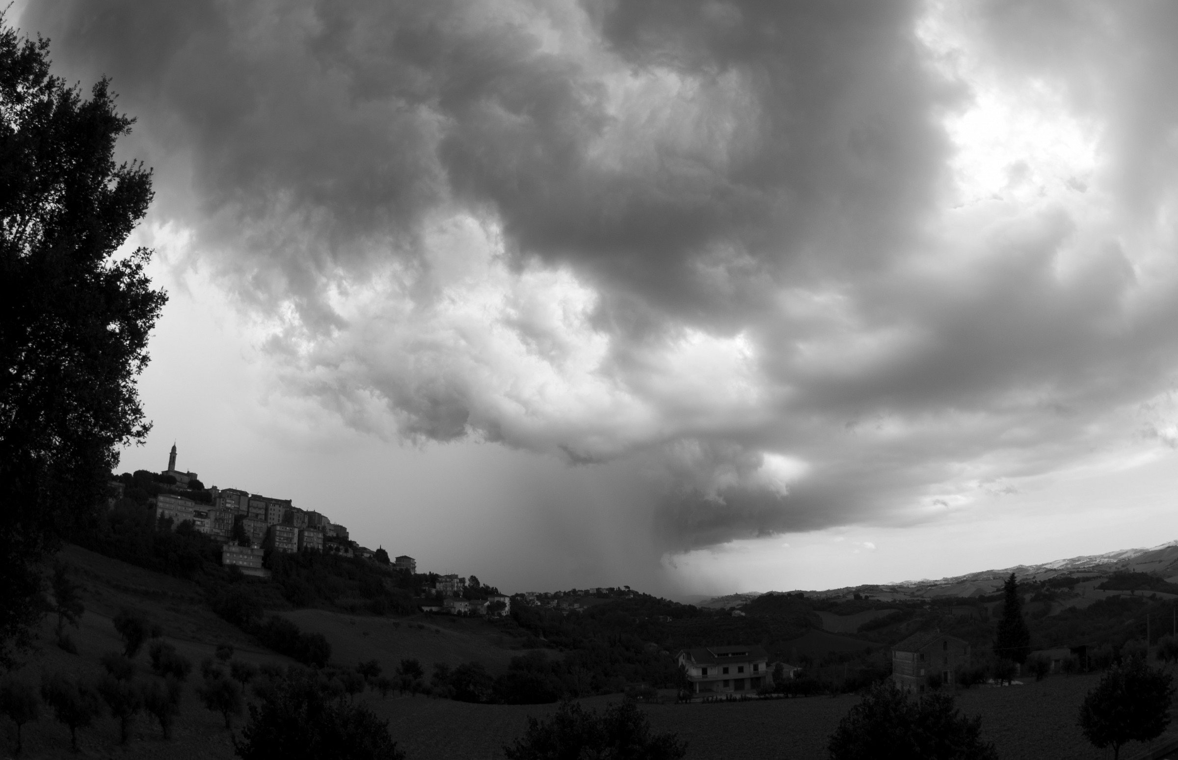 mattinata capricciosa a Mogliano