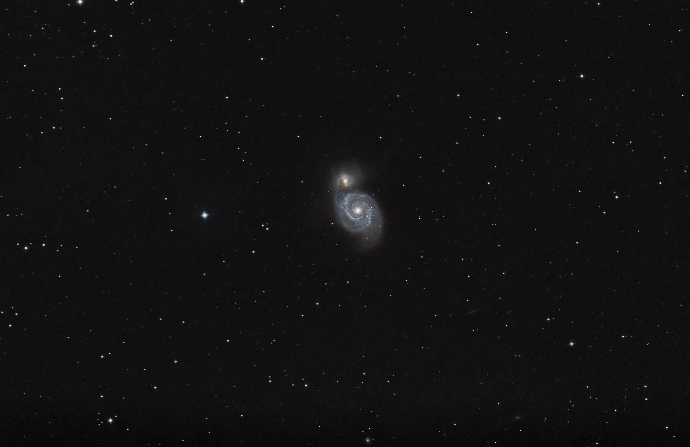 galassia a spirale cost. cani da caccia