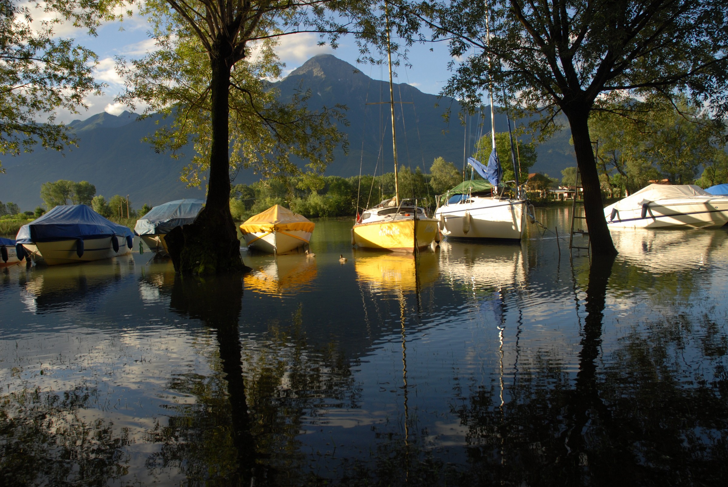 Barche: canale de Mera
