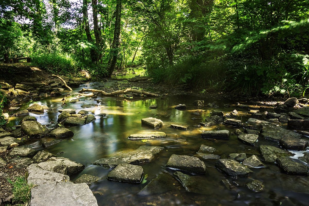 Corfe river - UK