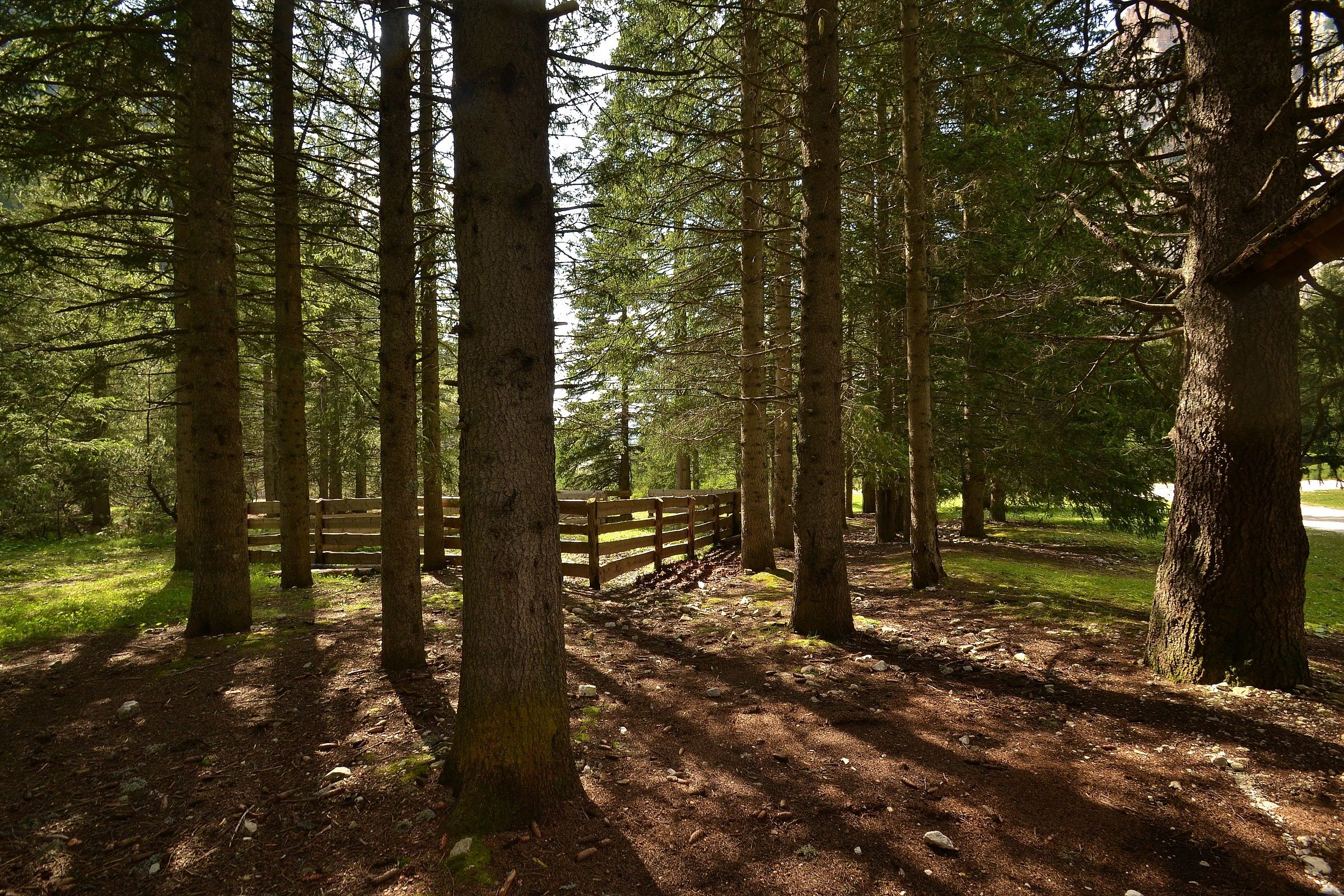 Dolomiti - Passo Falzarego