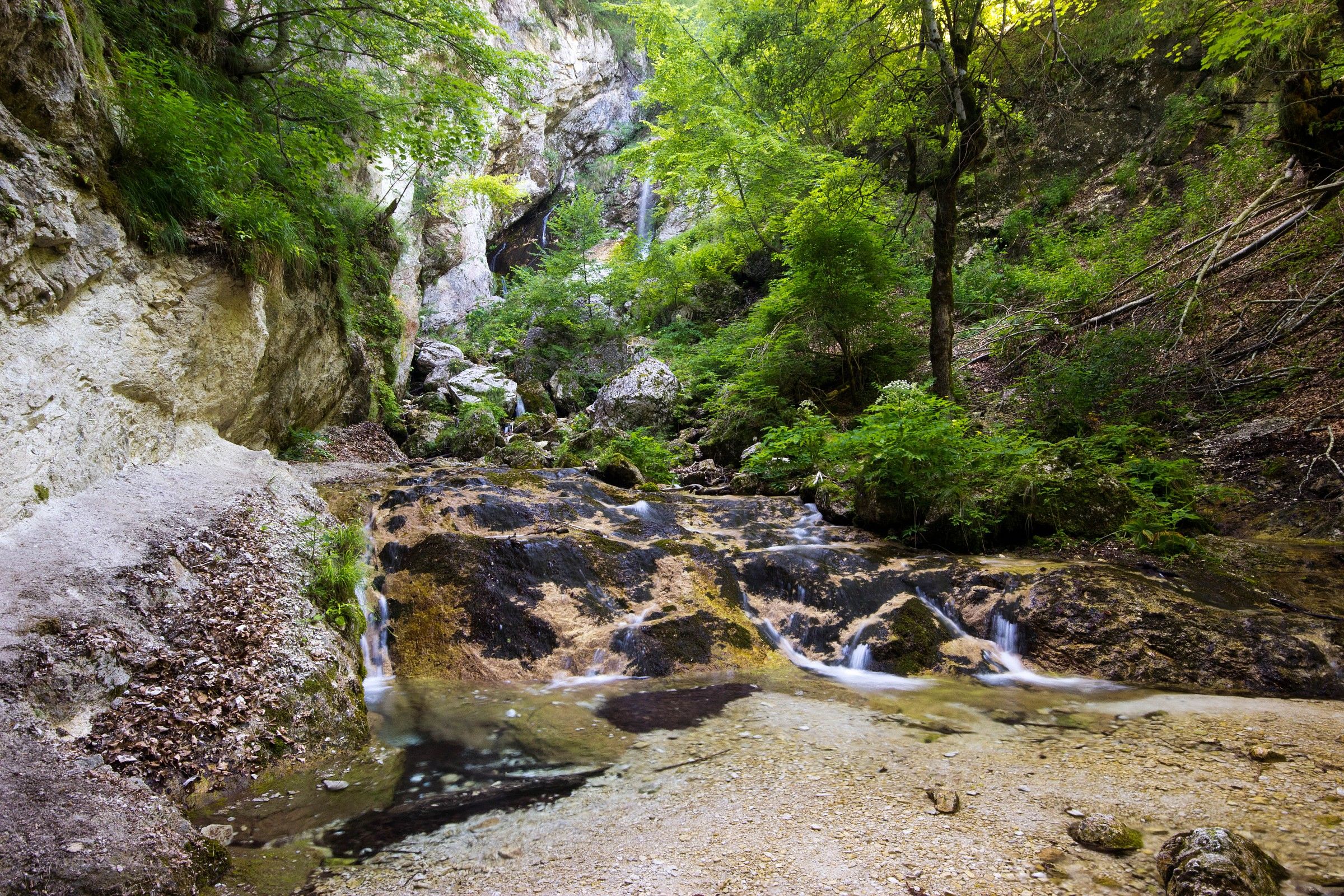 Cascade of the Nymphs