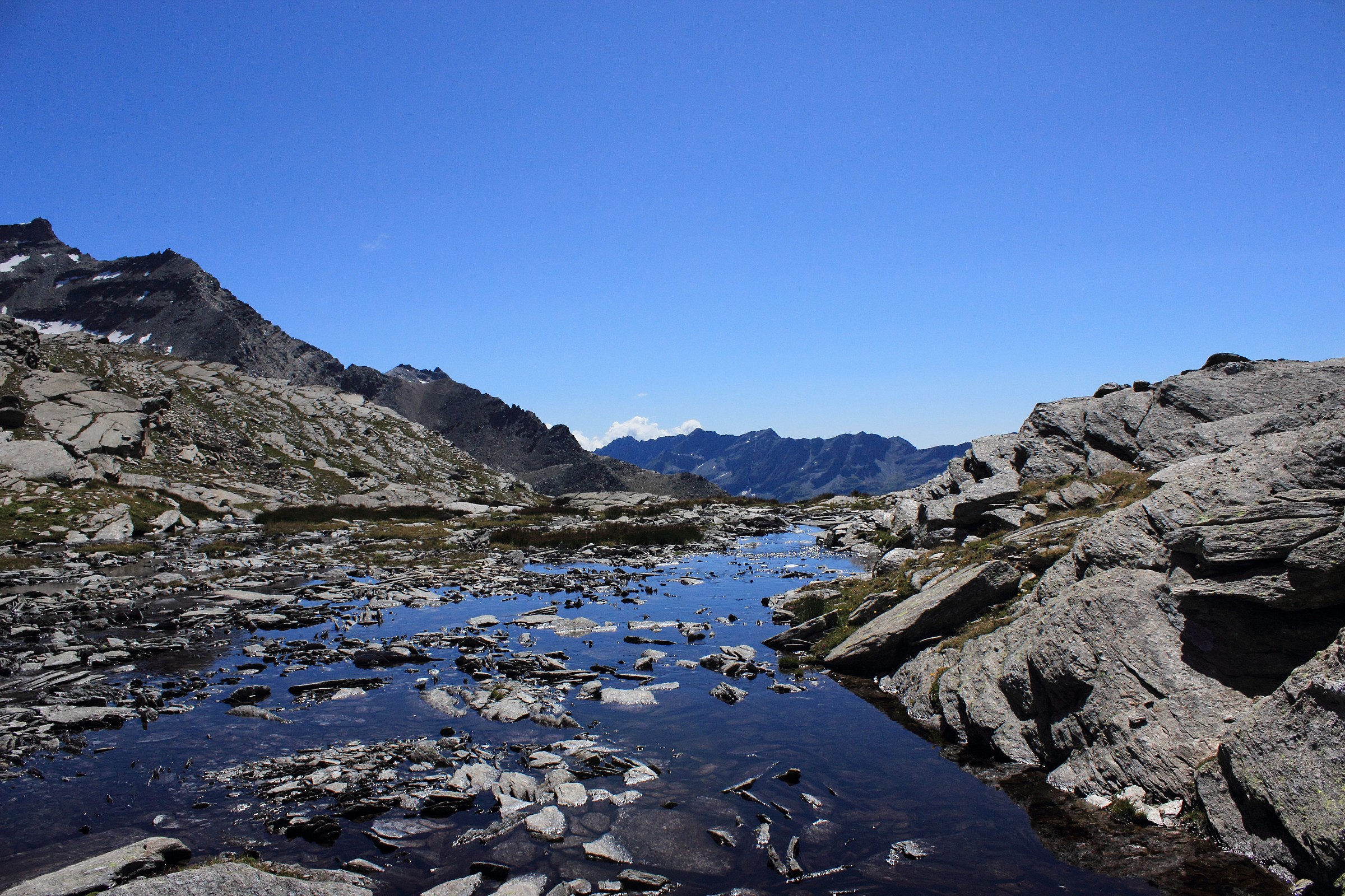 tra punta forà e punta violetta