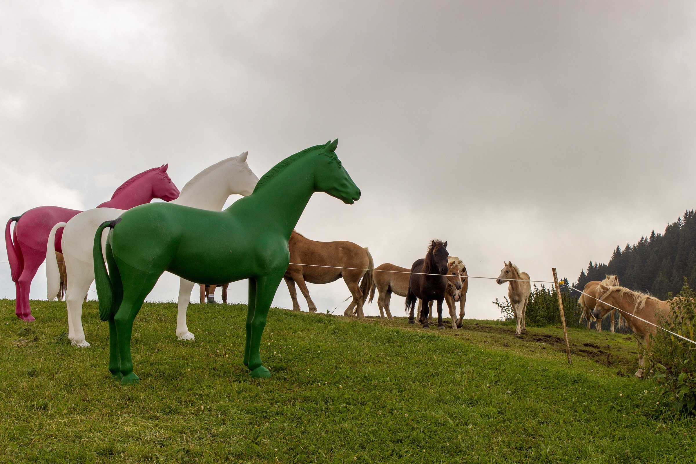 Veri Rinchiusi - Finti liberi