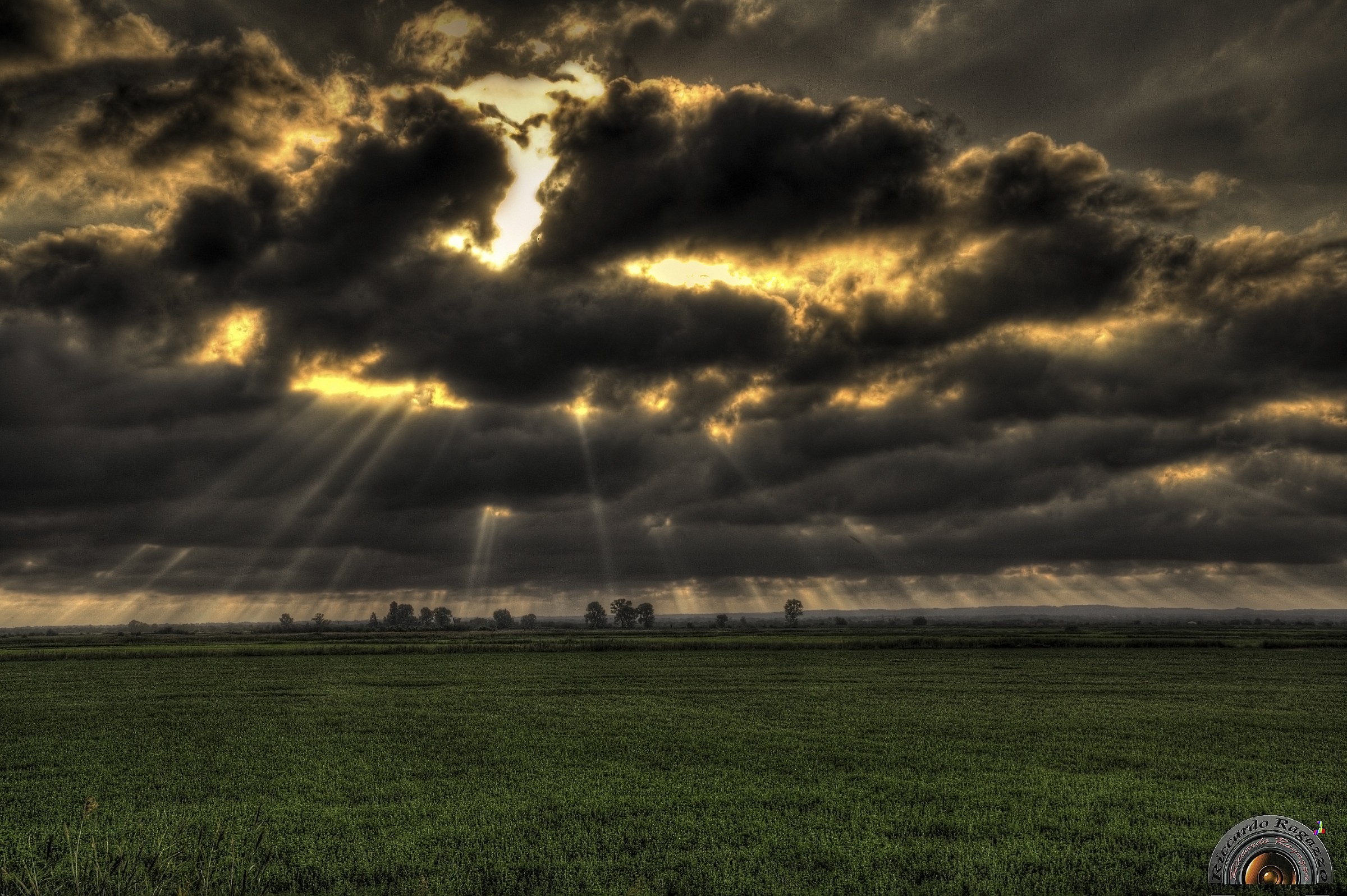 Sunset in the Camargue