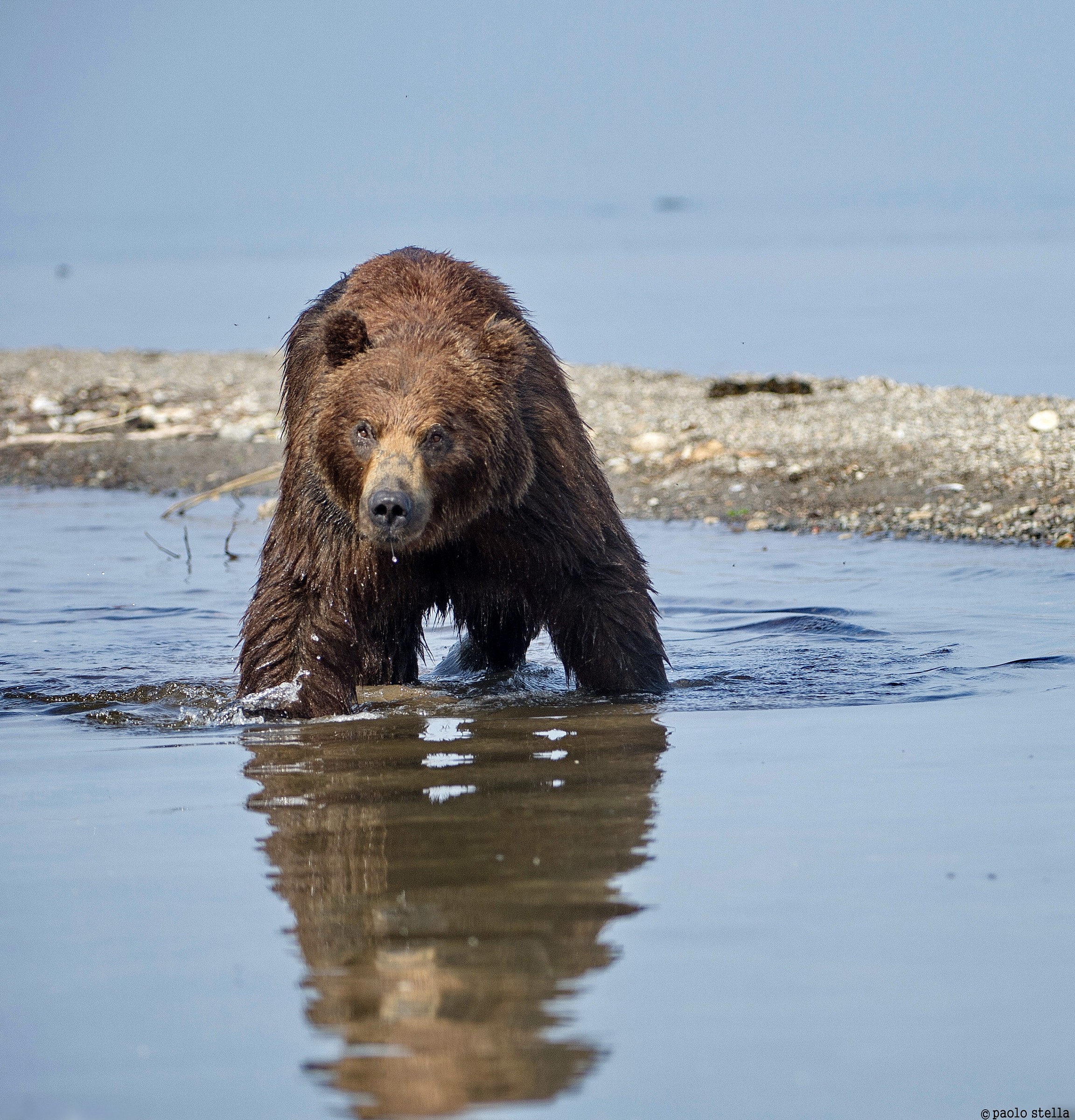 meeting with gli..intrusi
