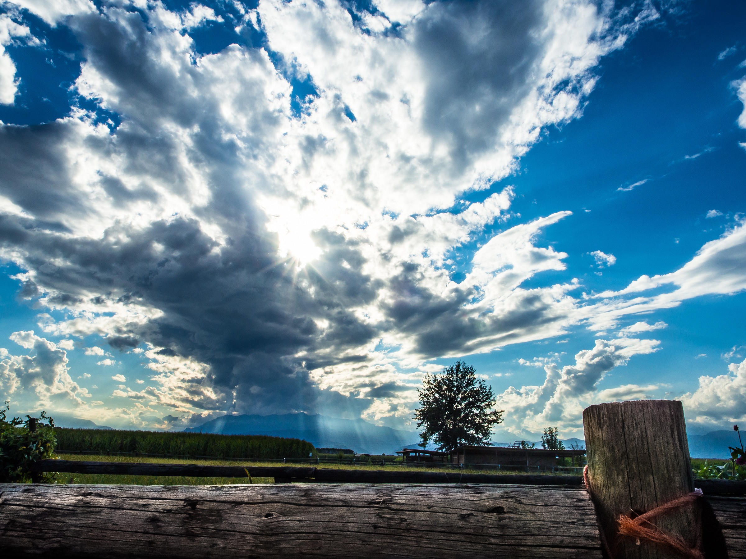 Ferragosto in campaign