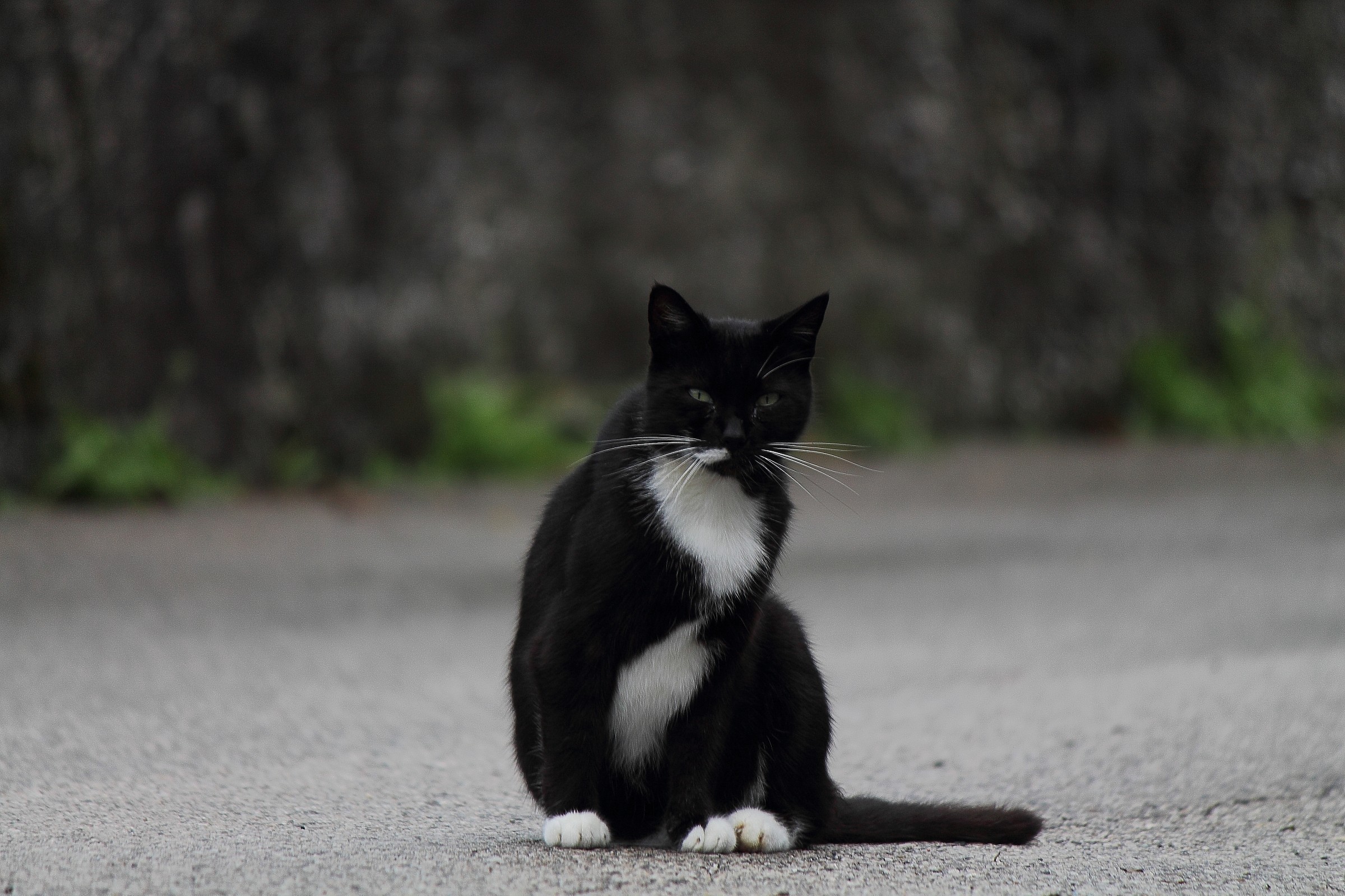 Cos' Hai Da Guardare!!!!