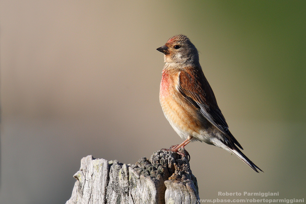 Waiting for the sunrise ....