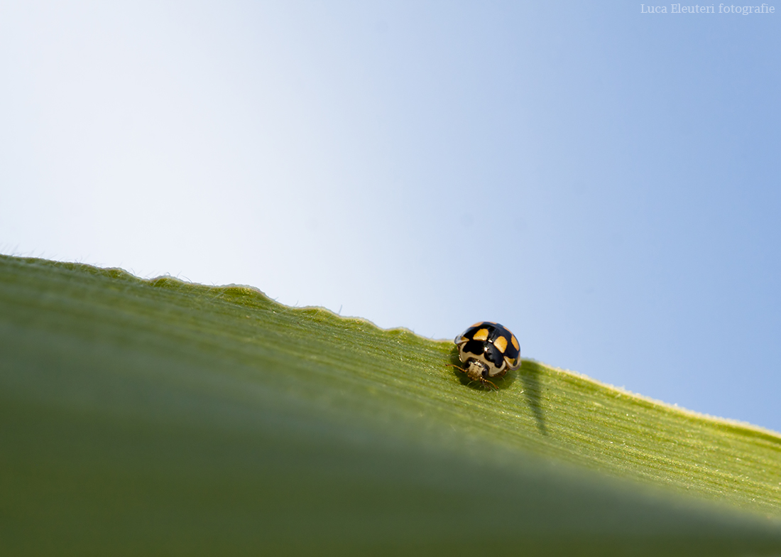 And what are you doing here? :)